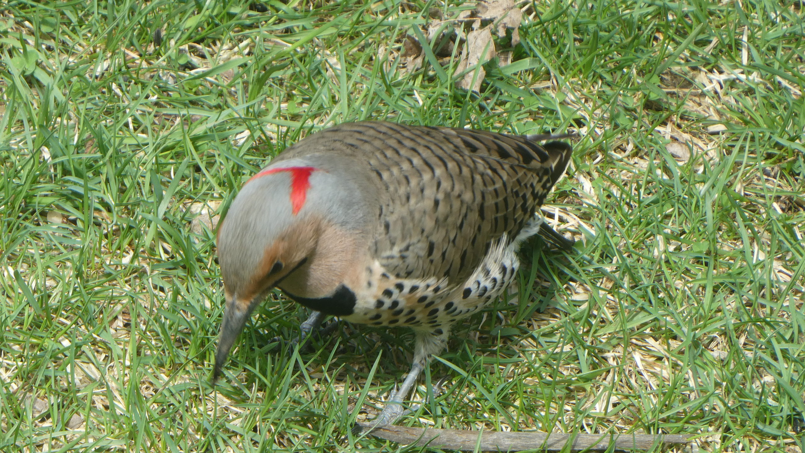 Additional Image 2
