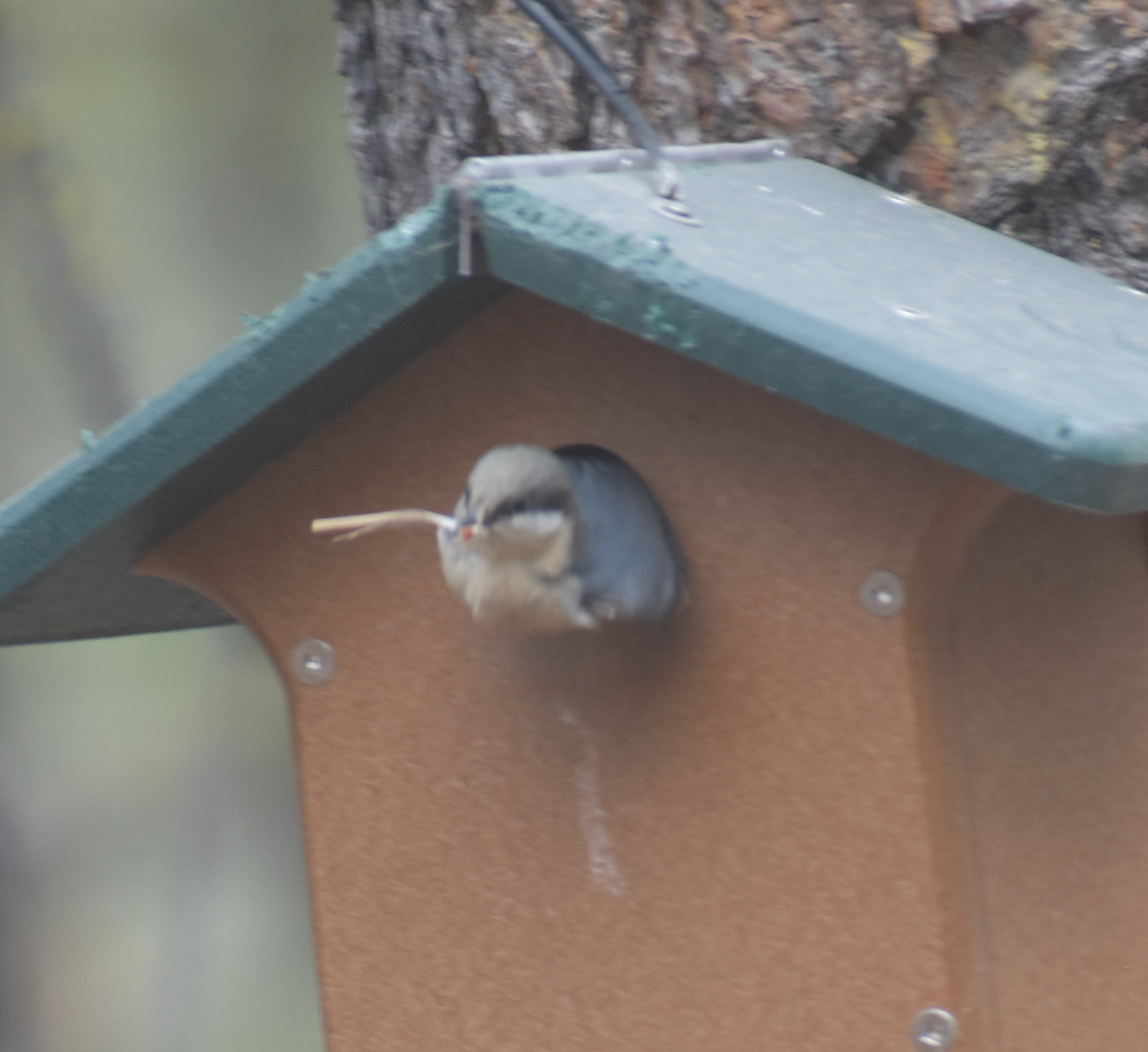 Additional Image 2