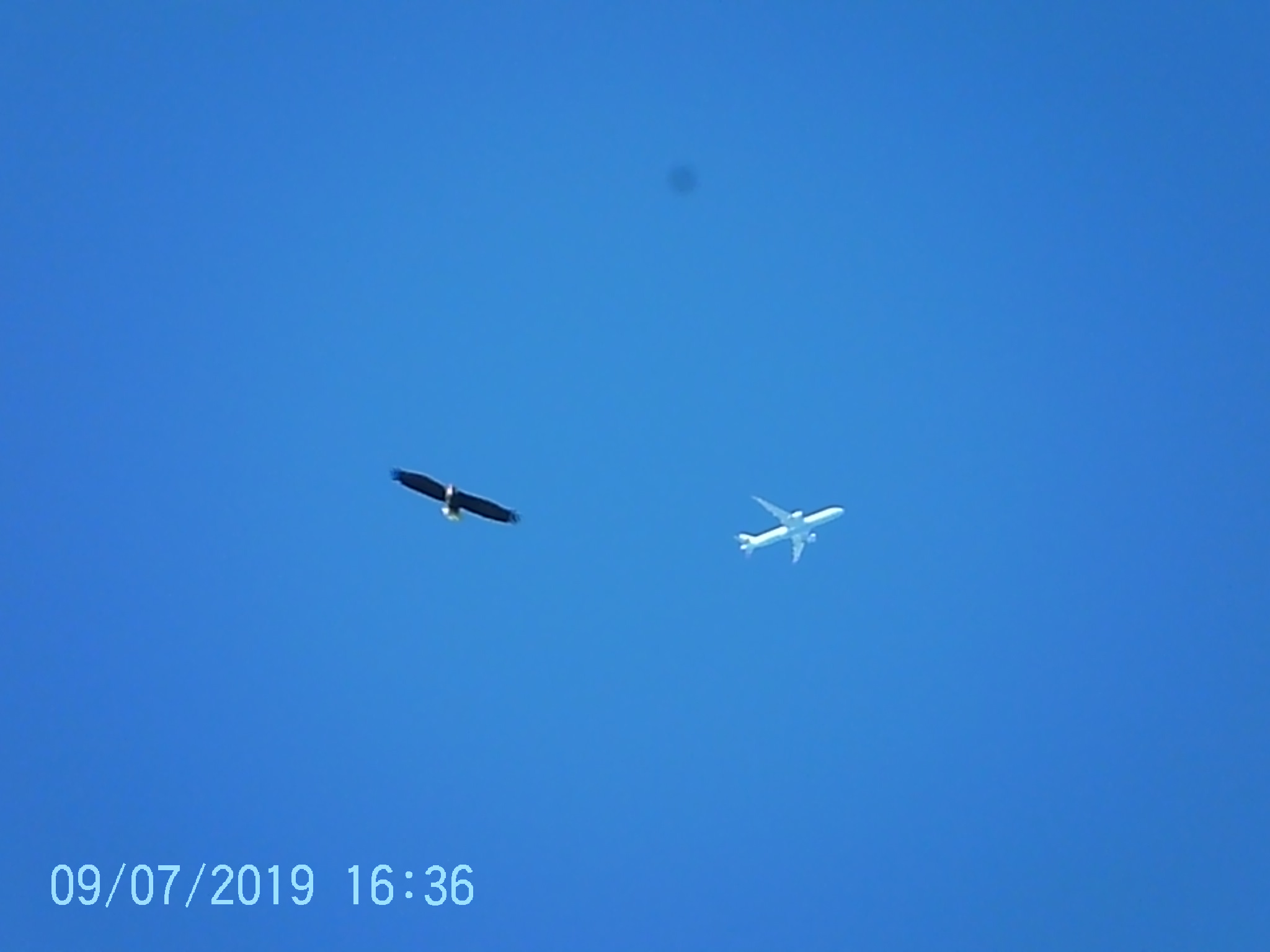 Additional Image 4