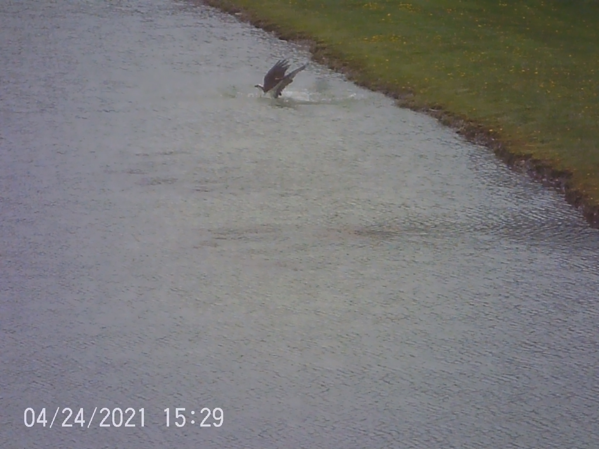 Additional Image 2