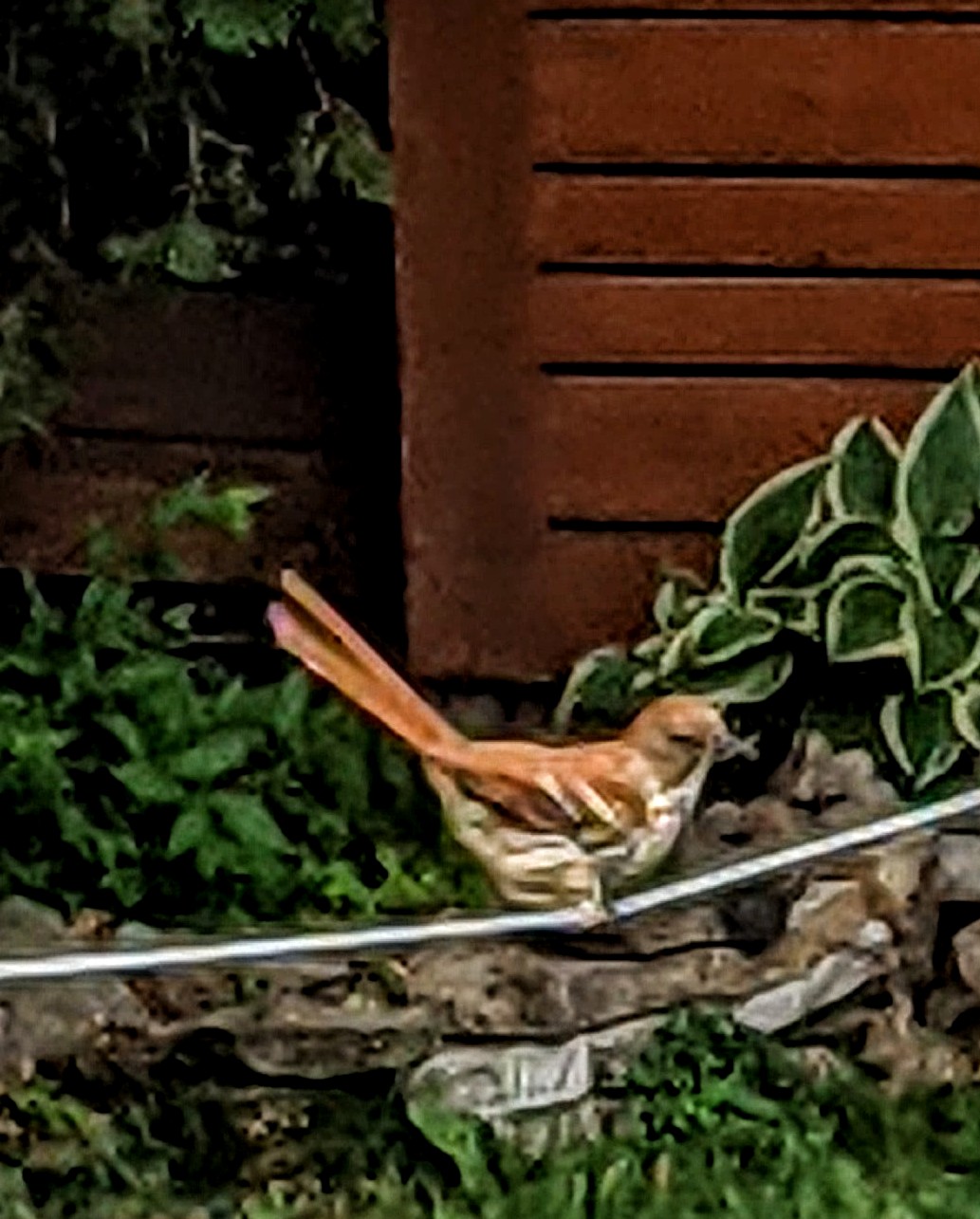 Additional Image 2