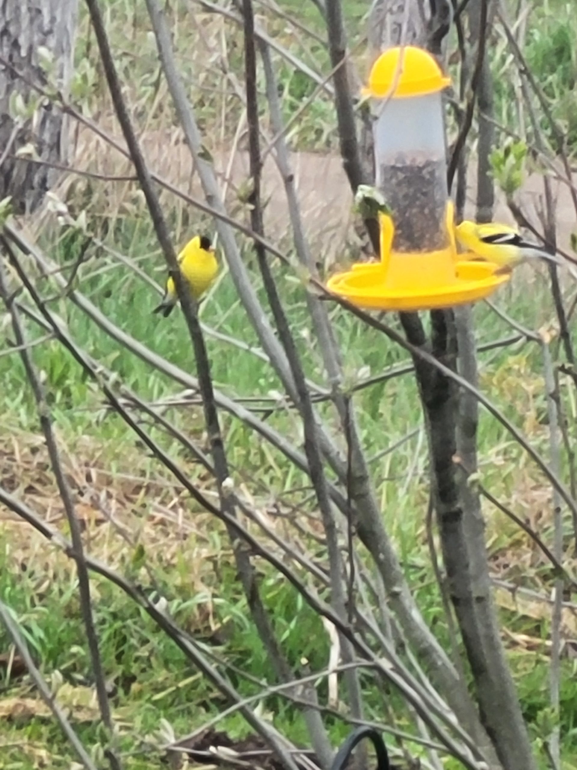 Additional Image 3