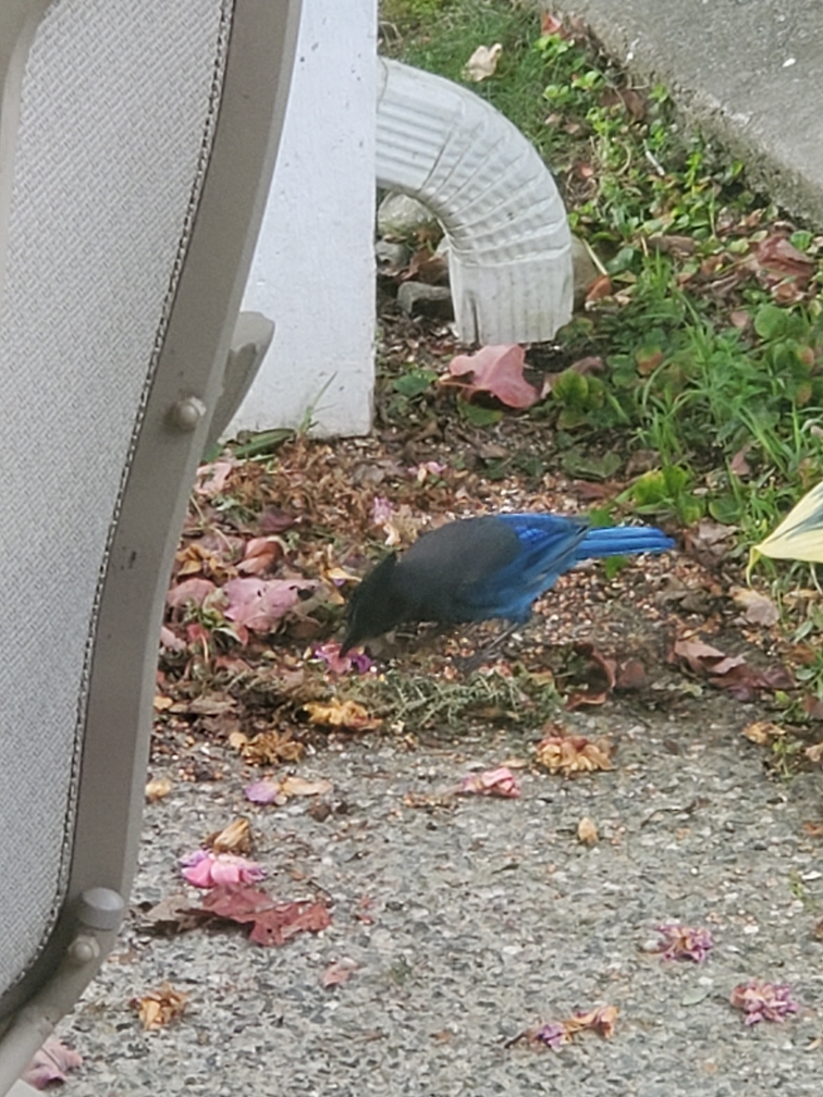 Additional Image 4