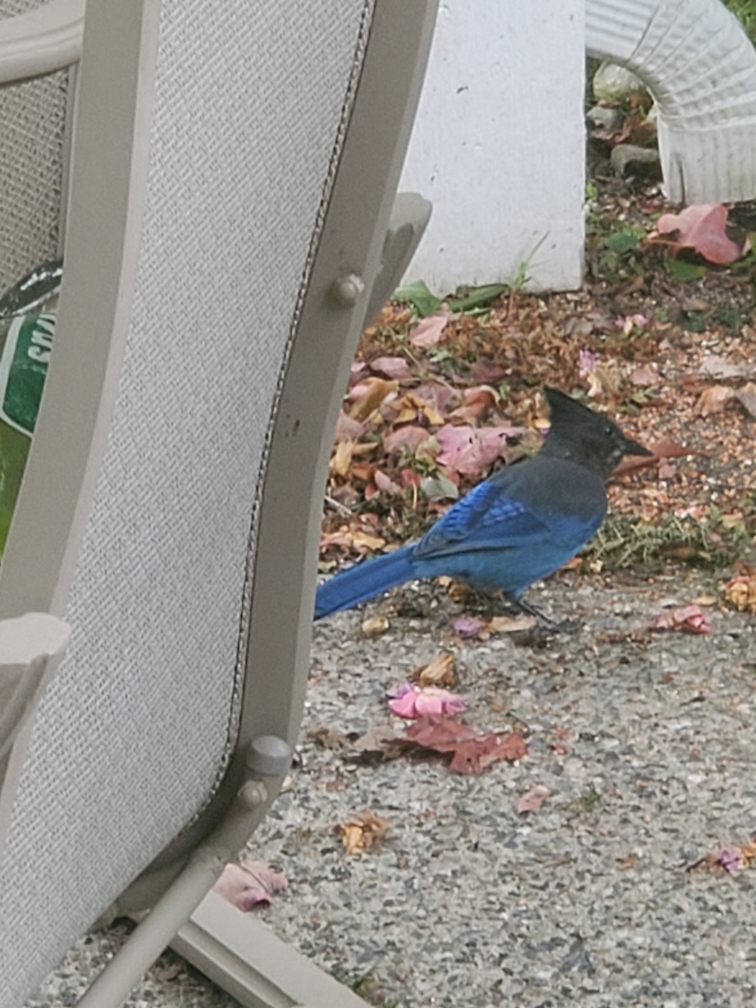 Additional Image 5