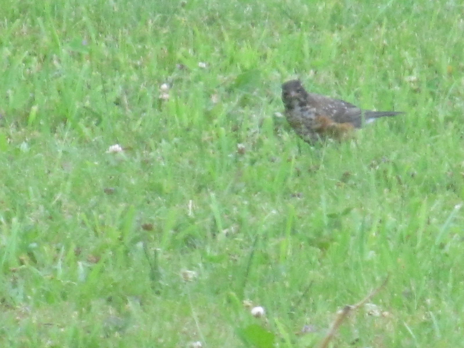 Additional Image 3