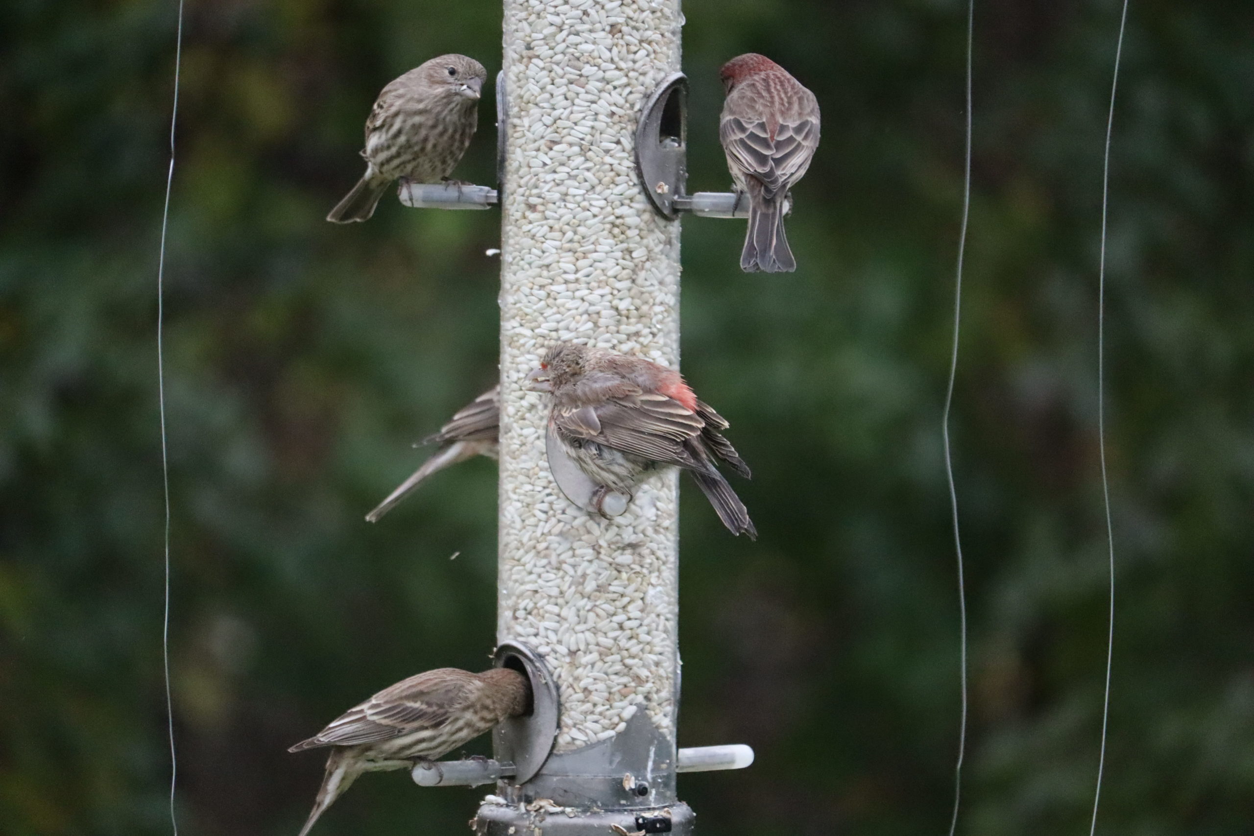 Additional Image 2