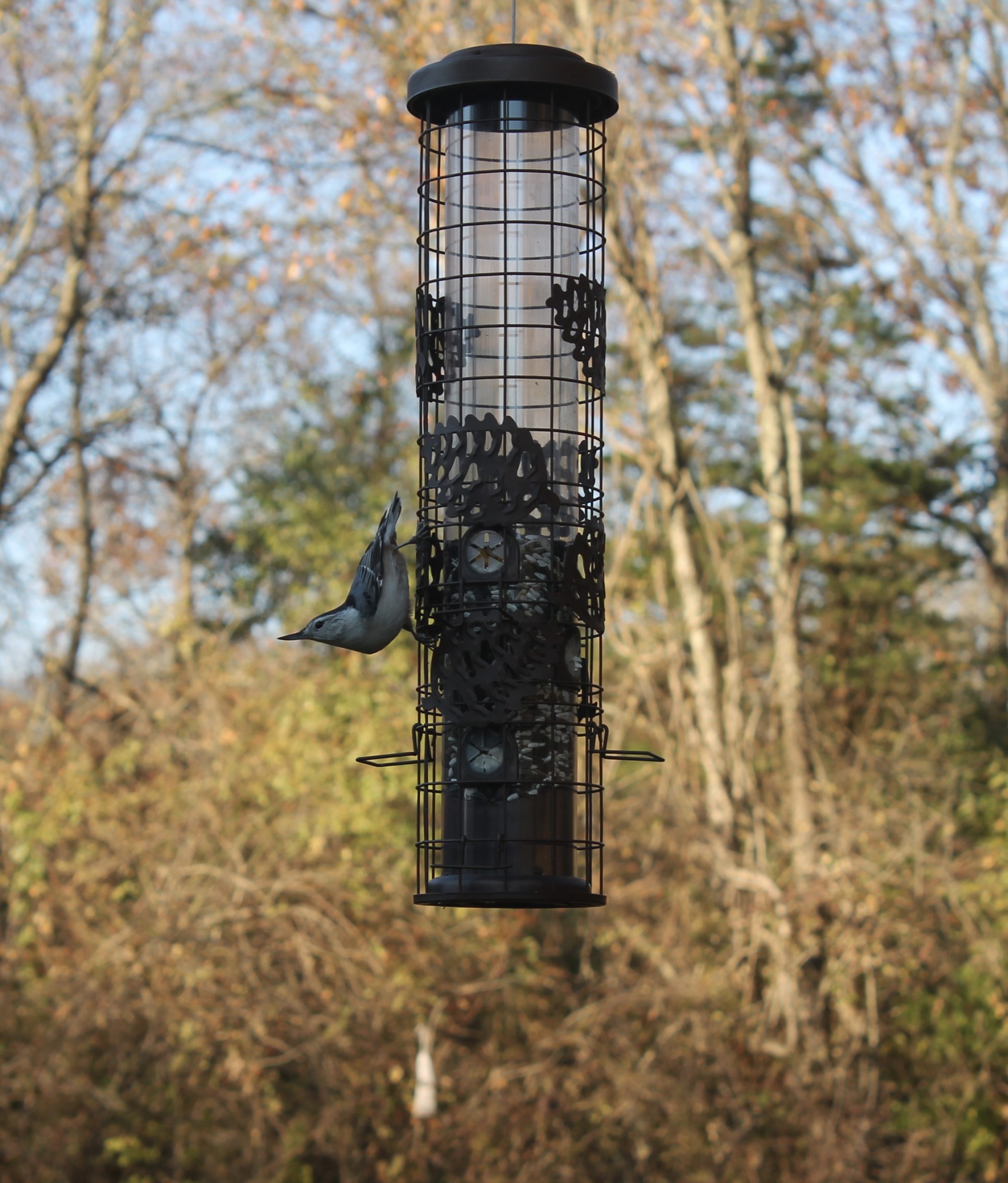 Additional Image 2