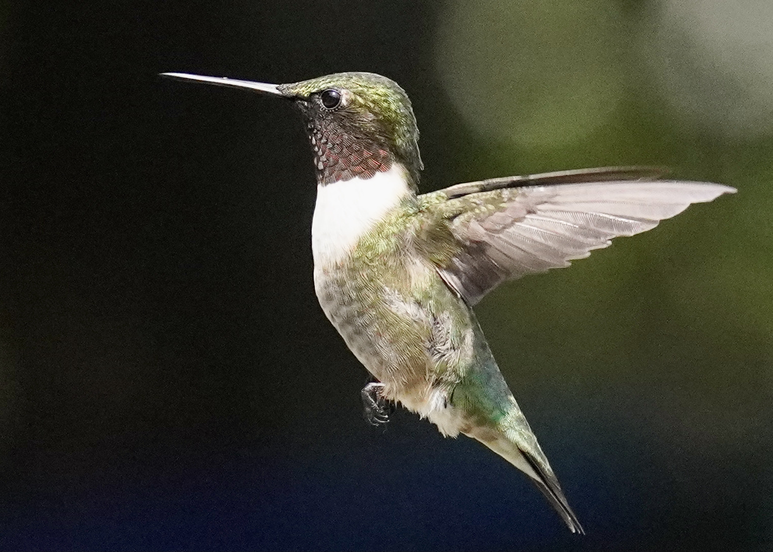 Featured Image