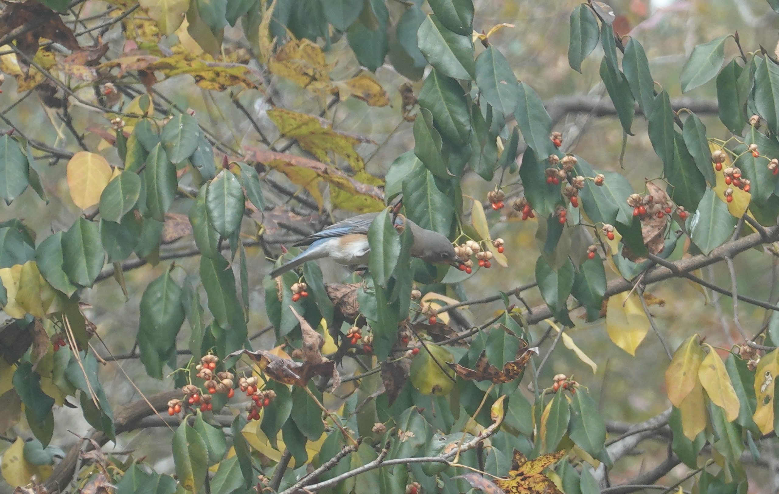 Additional Image 3
