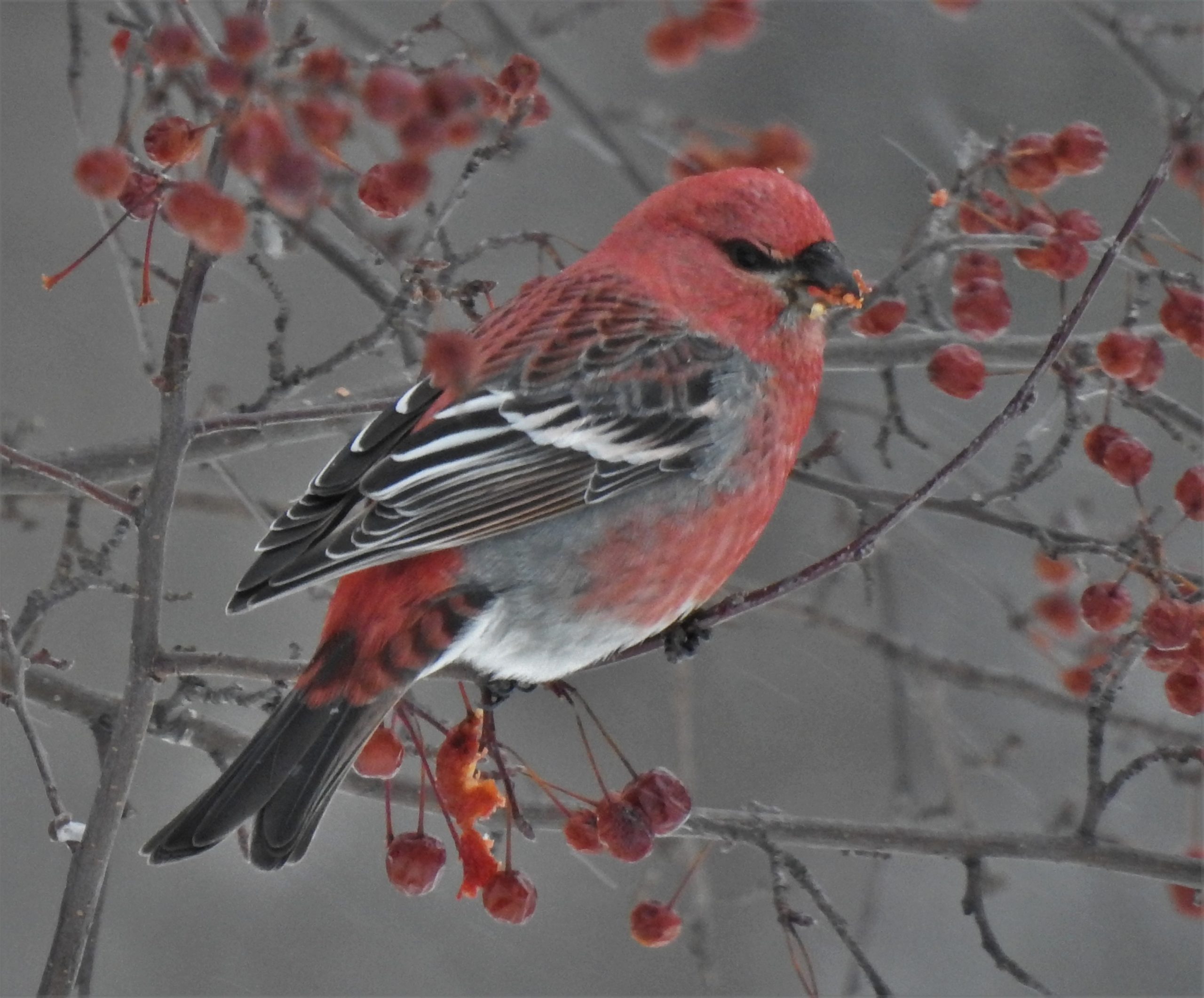 Featured Image
