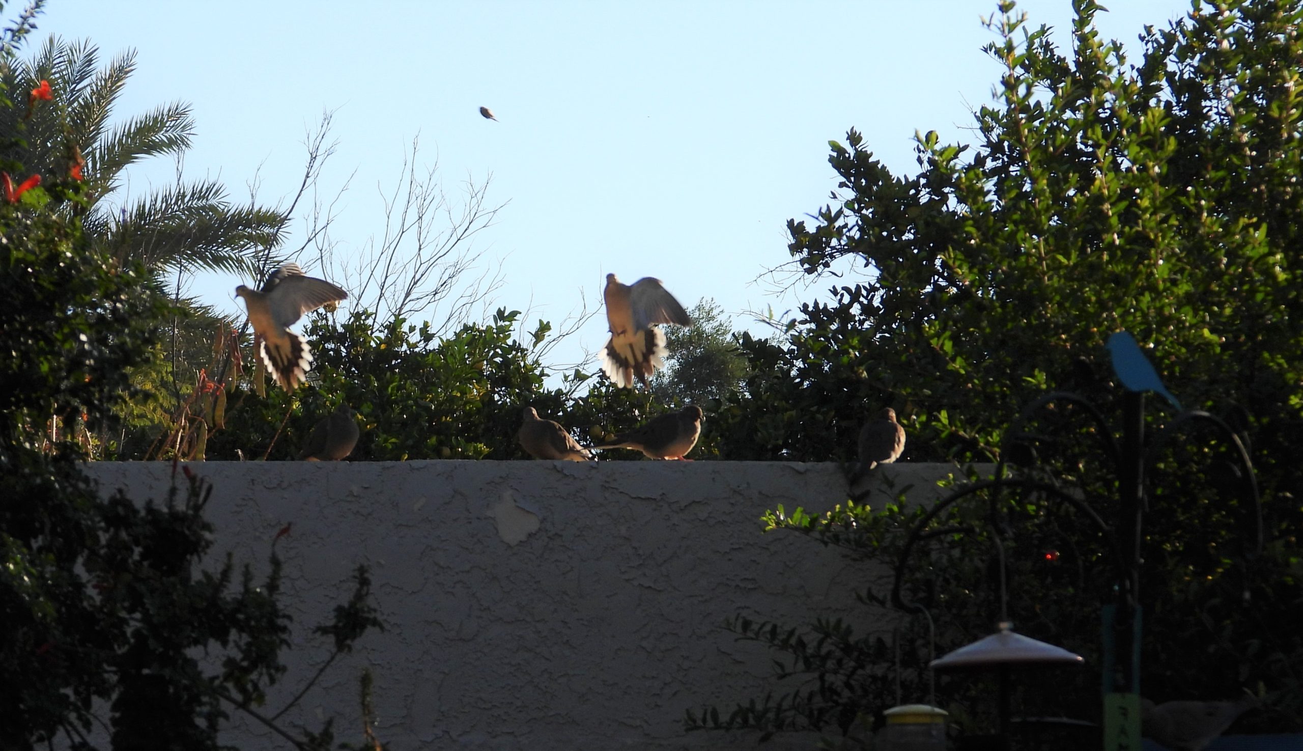 Additional Image 2