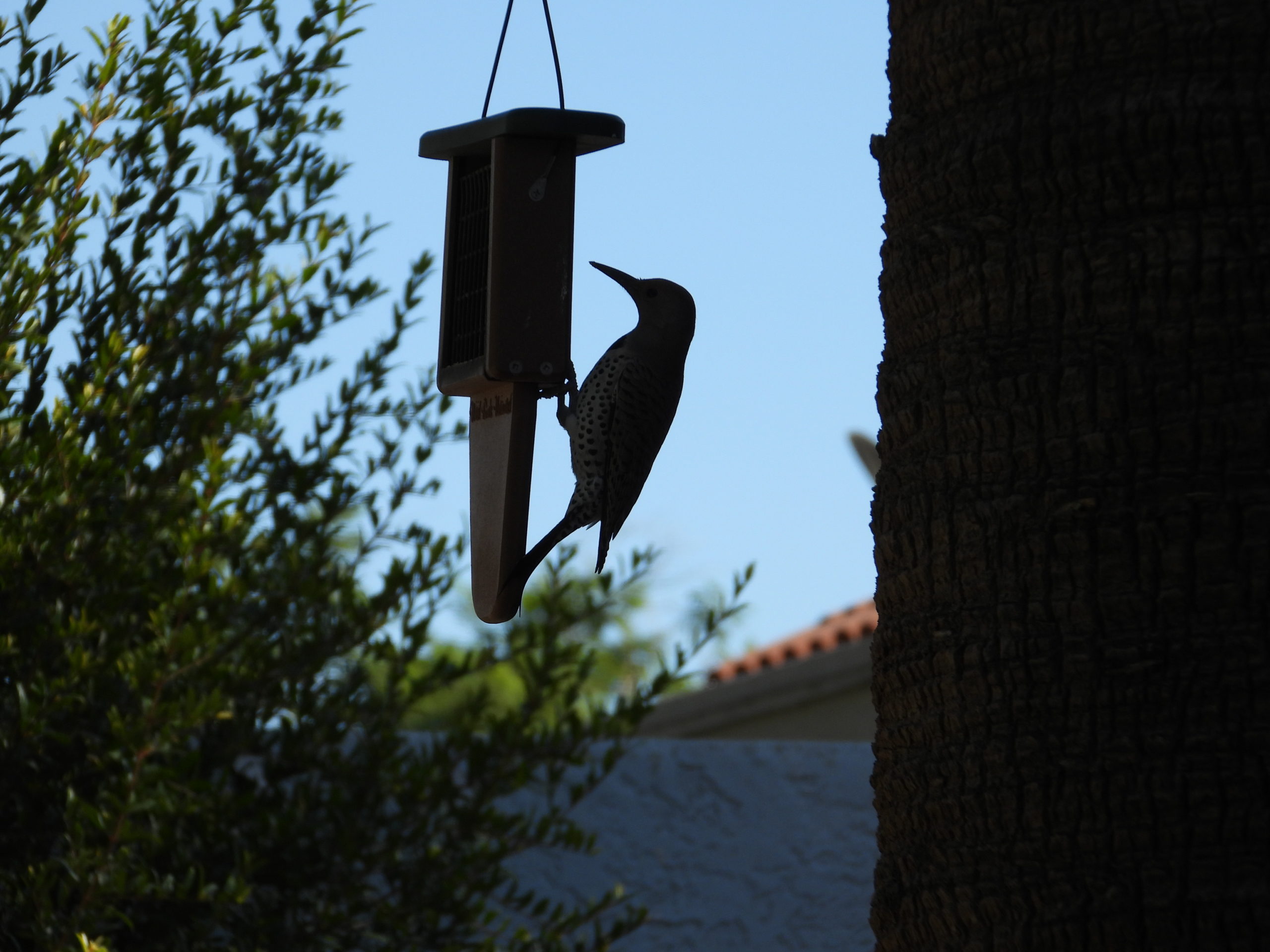 Additional Image 2