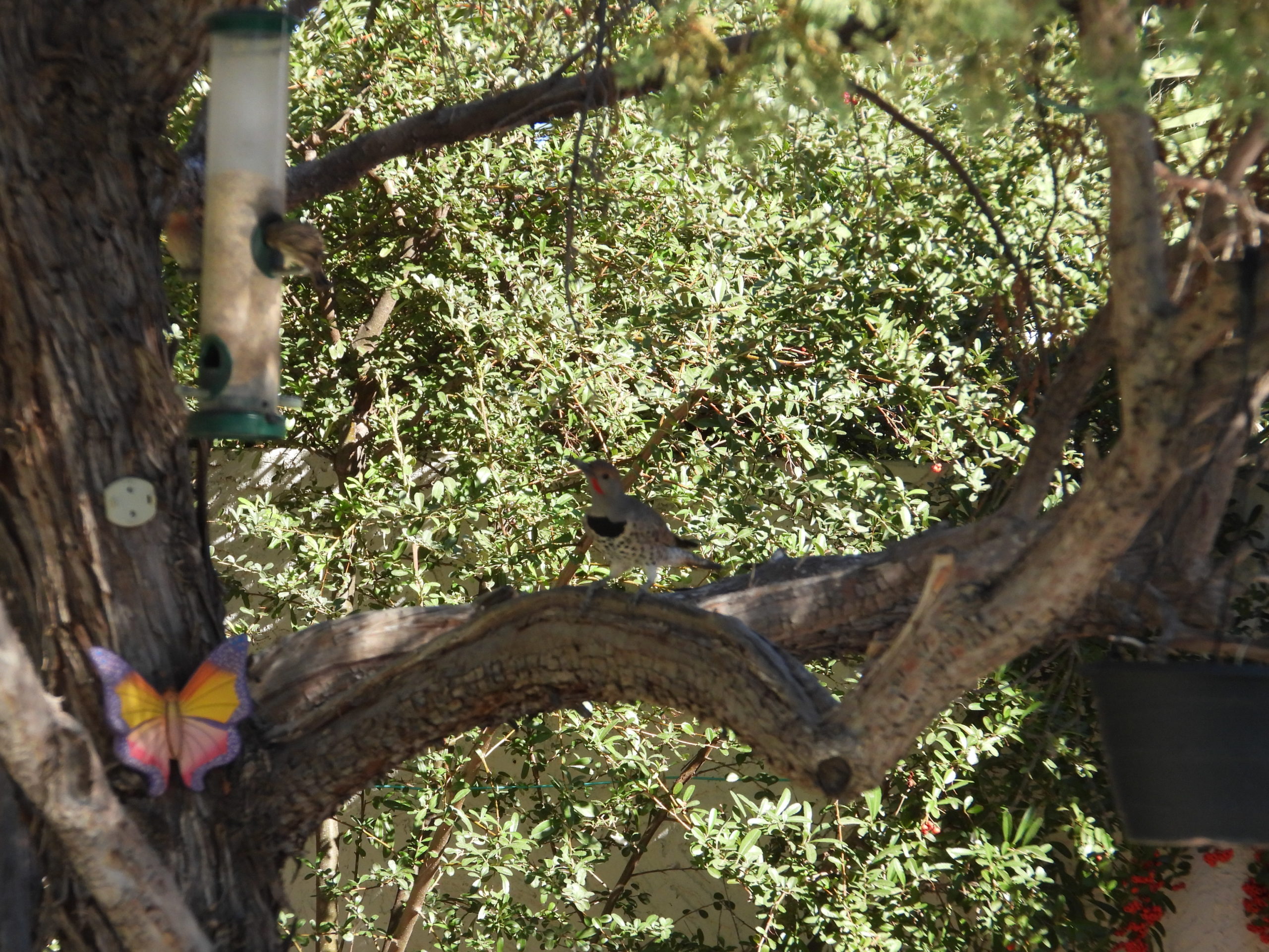 Additional Image 3