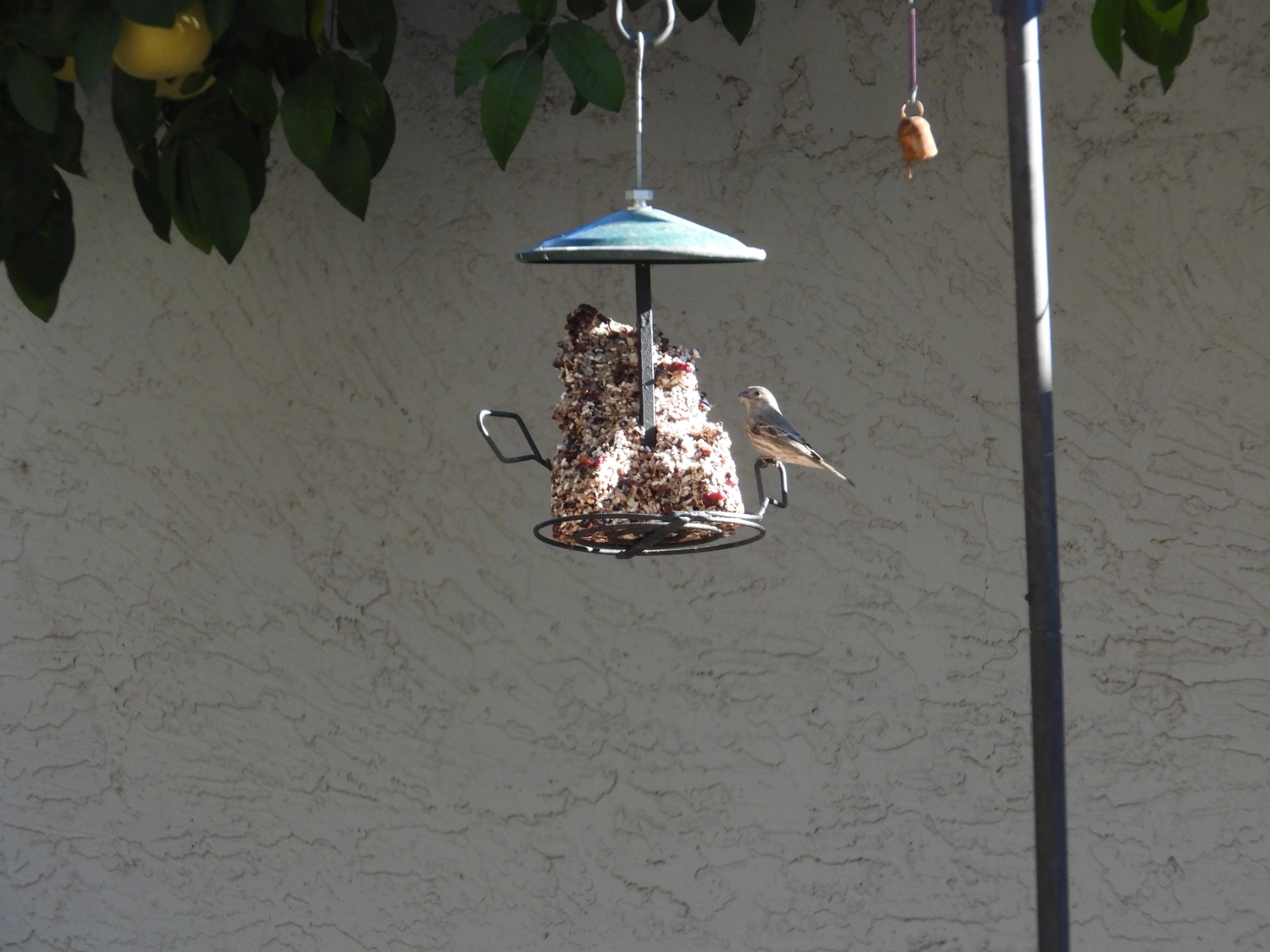 Additional Image 3