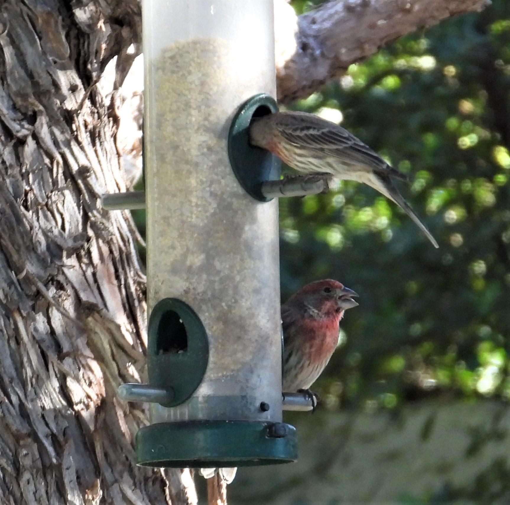 Additional Image 2