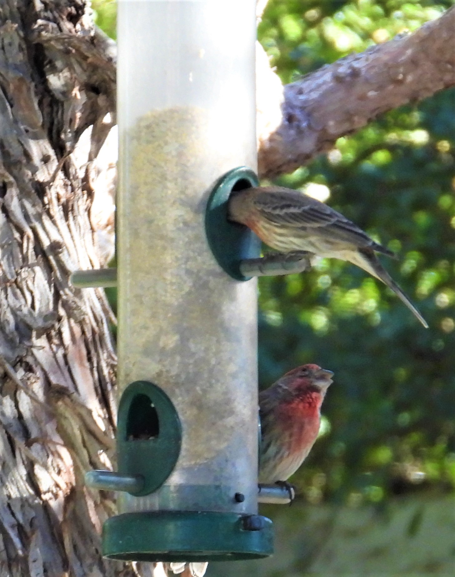 Additional Image 5