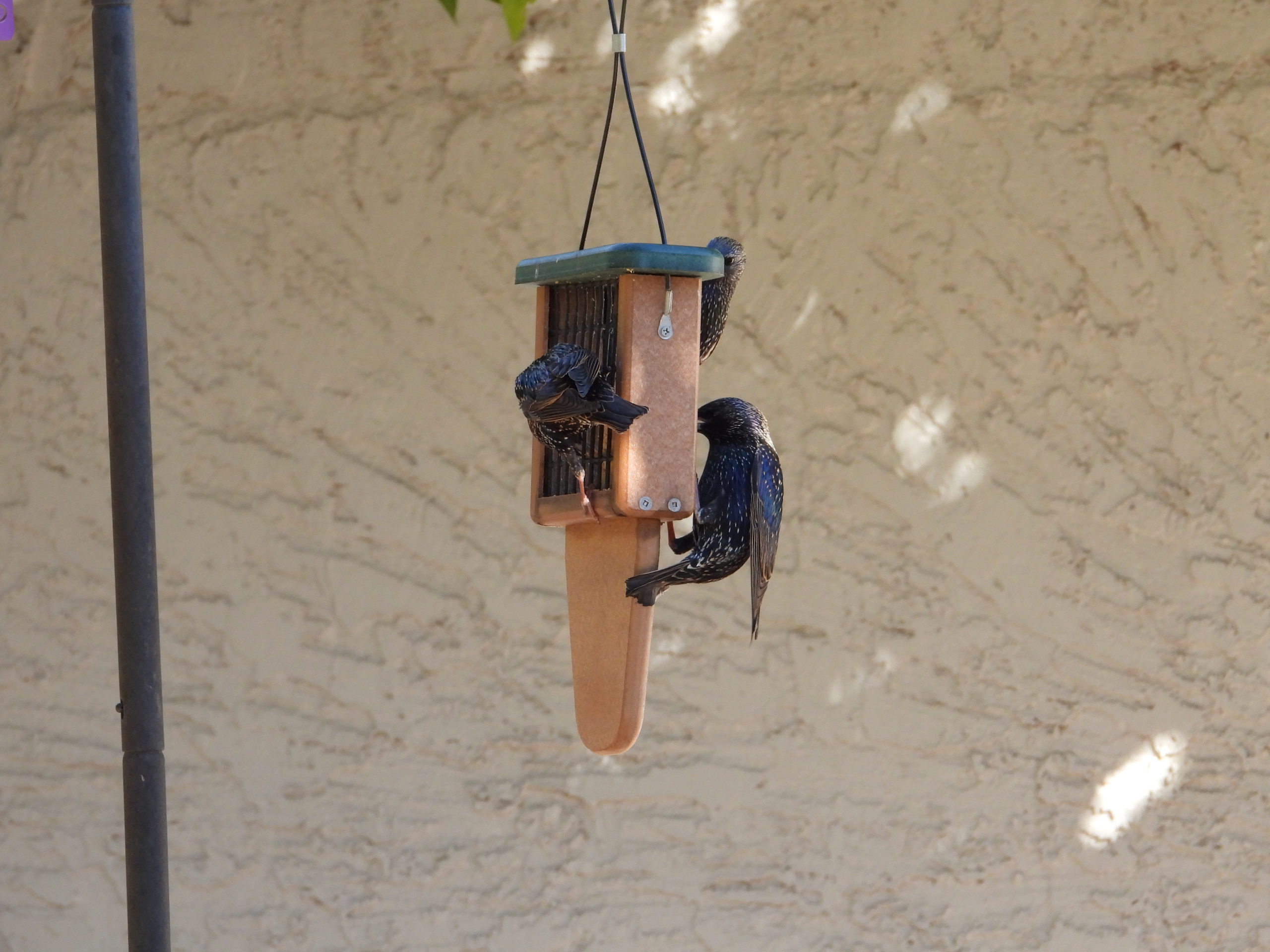 Additional Image 3