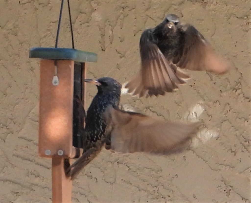 Additional Image 2