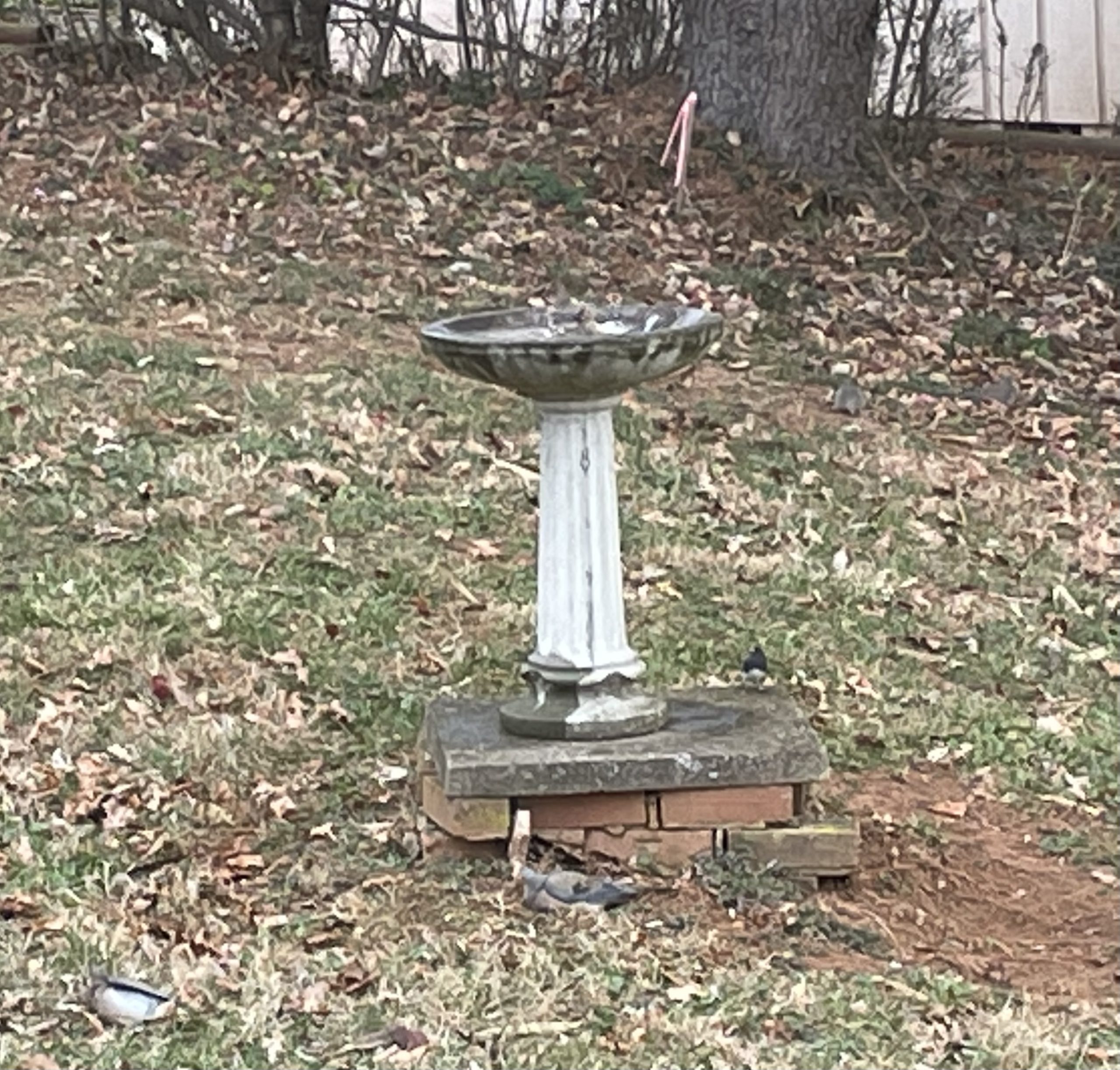 Additional Image 2