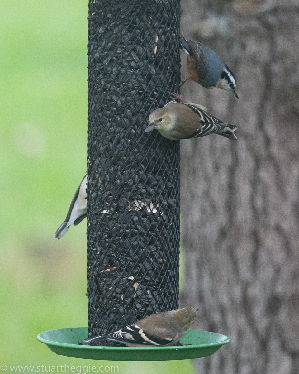 Additional Image 3
