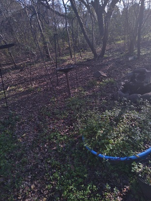 Additional Image 2