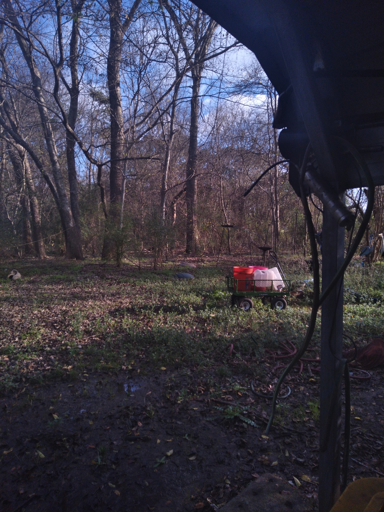 Additional Image 3