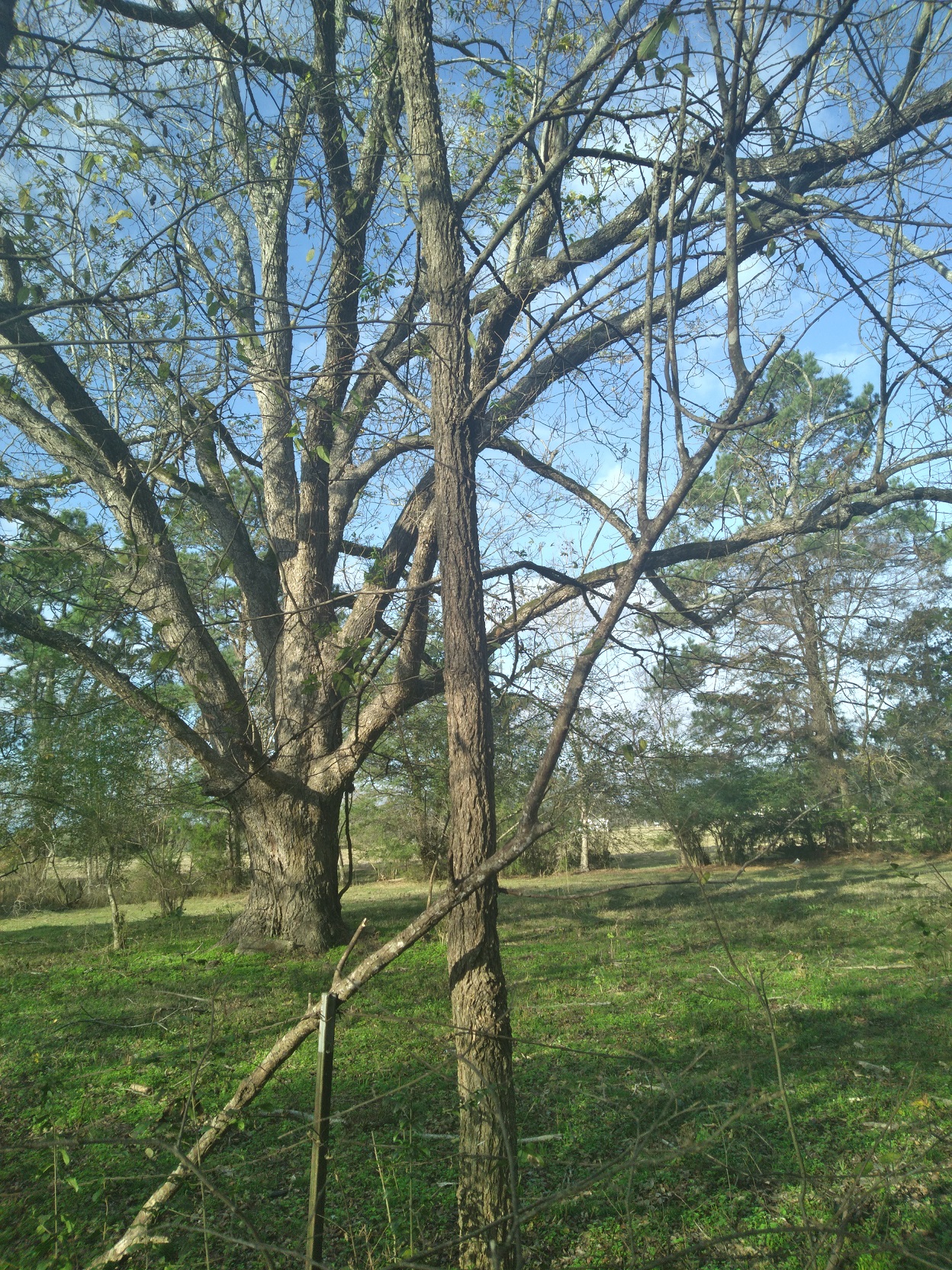 Additional Image 5