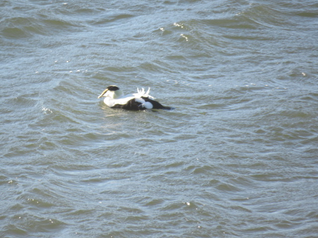 Additional Image 5
