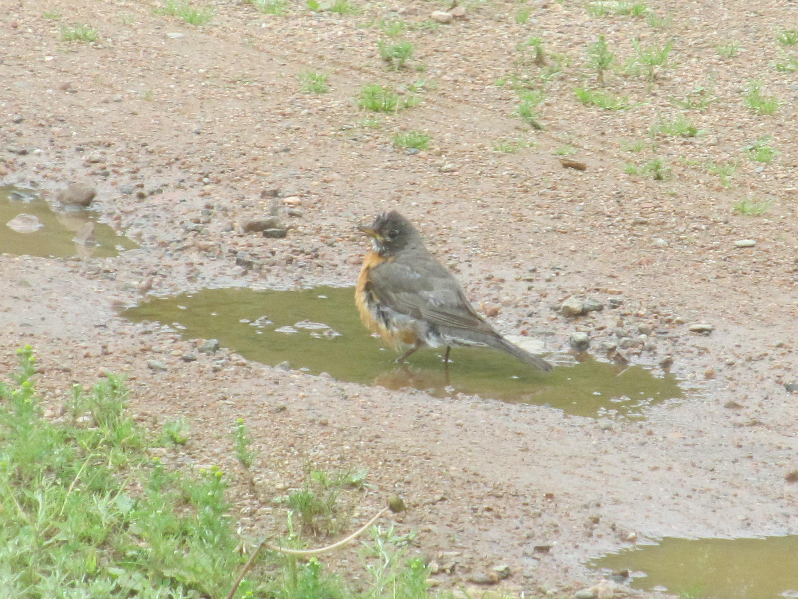 Additional Image 4