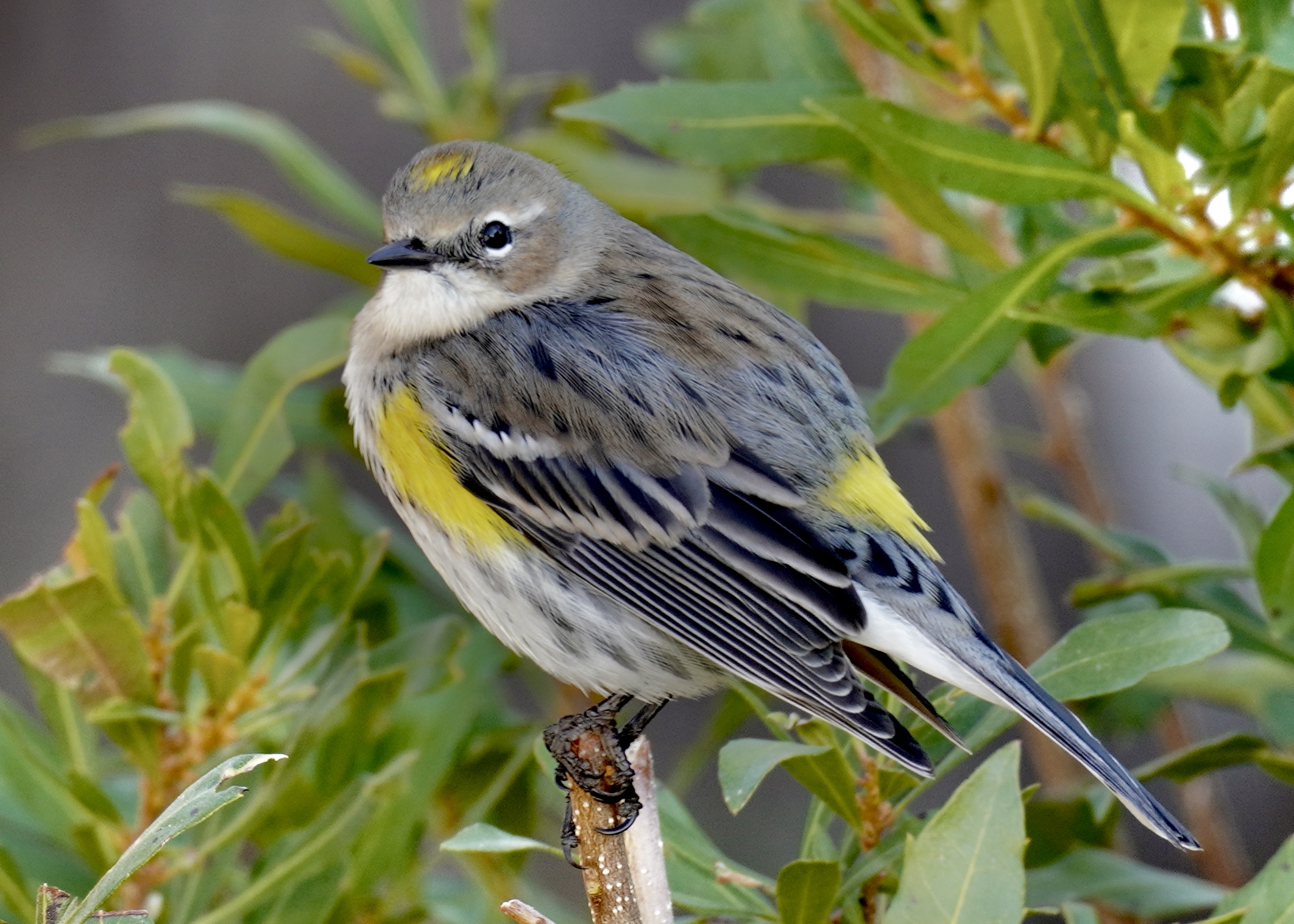 Featured Image