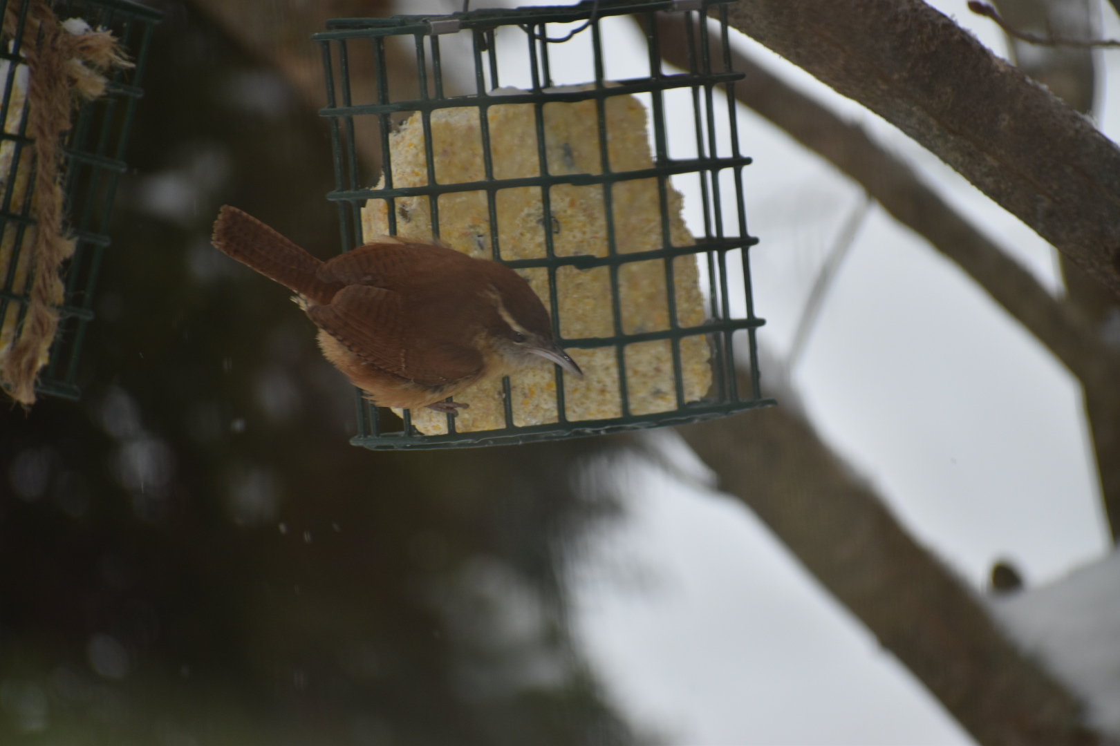 Additional Image 2