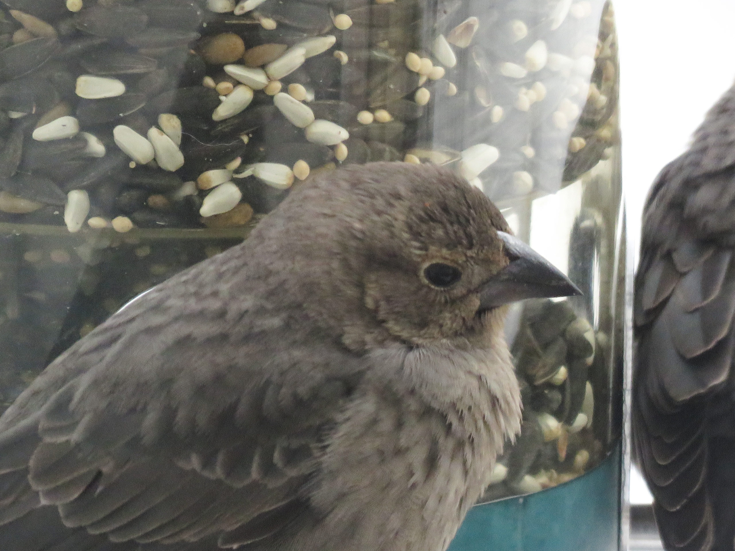 Additional Image 4