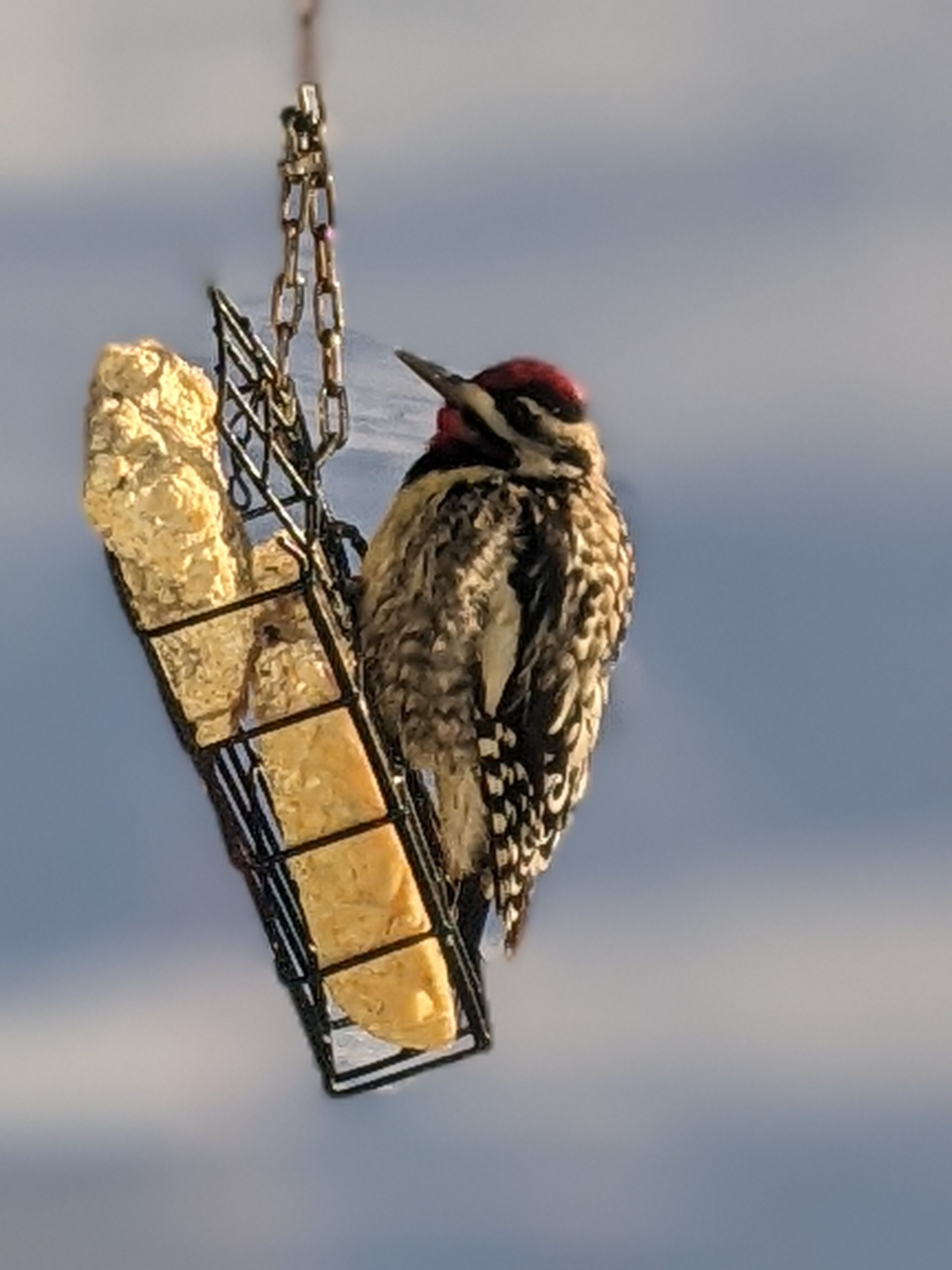 Featured Image