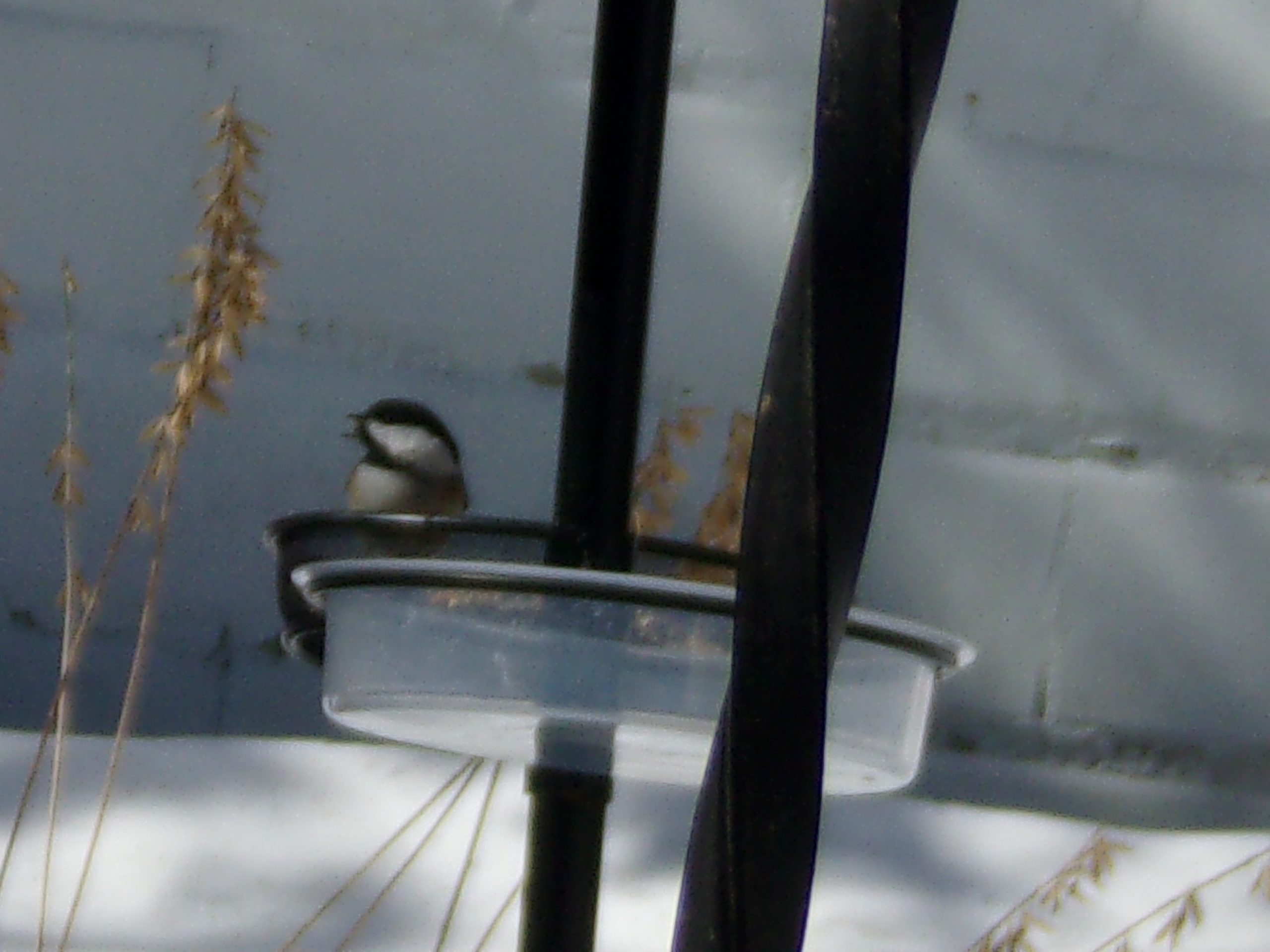Additional Image 3