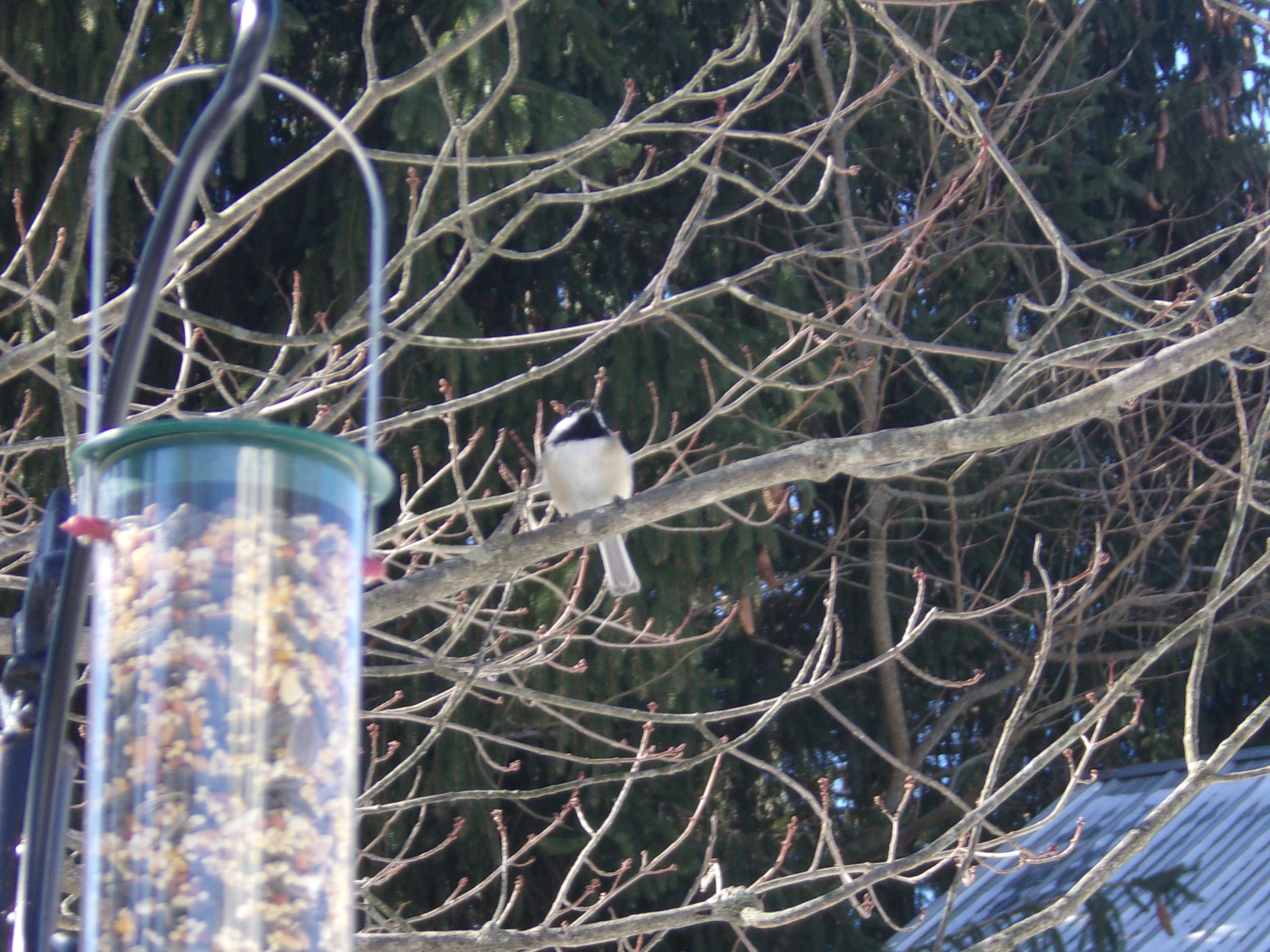 Additional Image 2