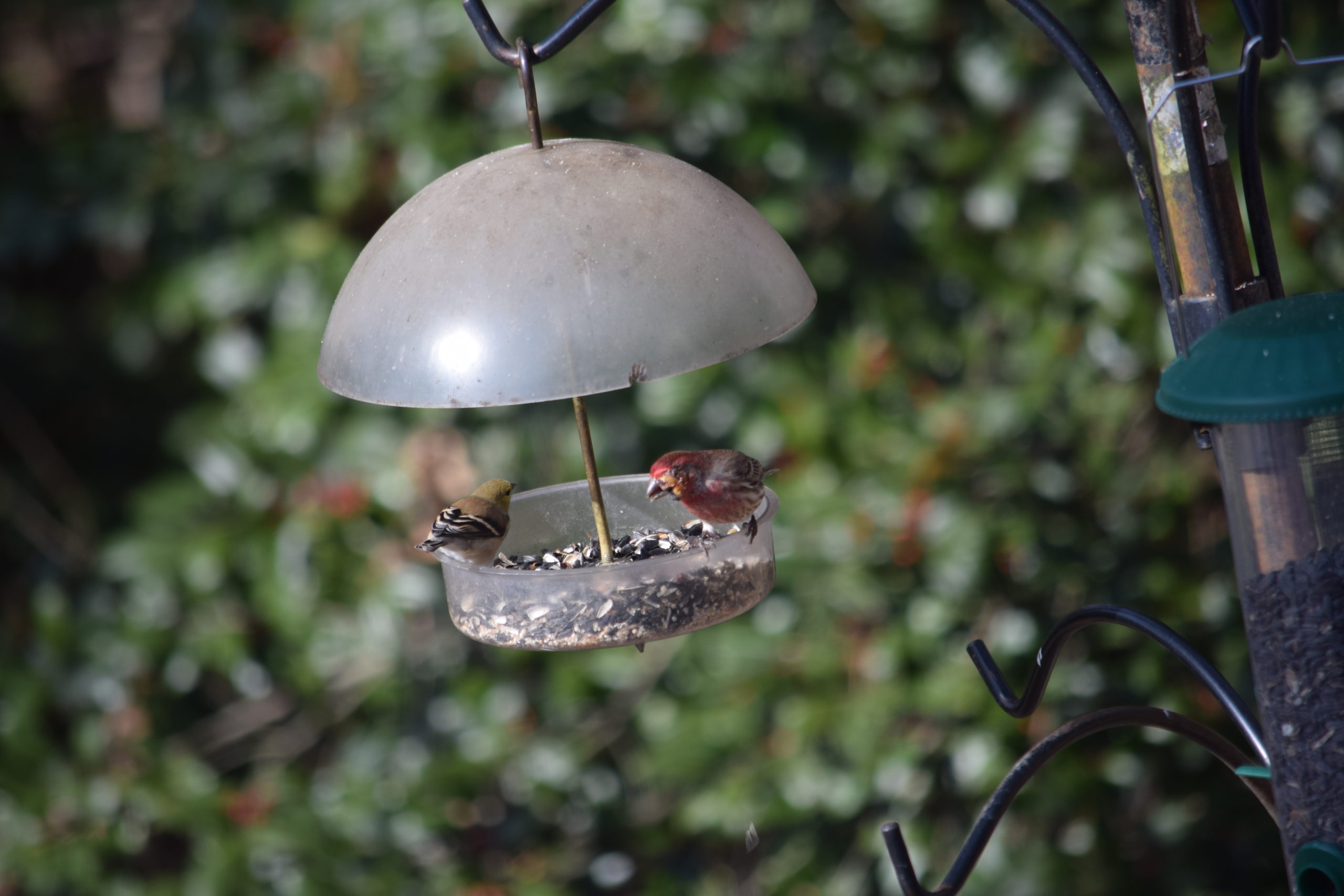 Additional Image 2