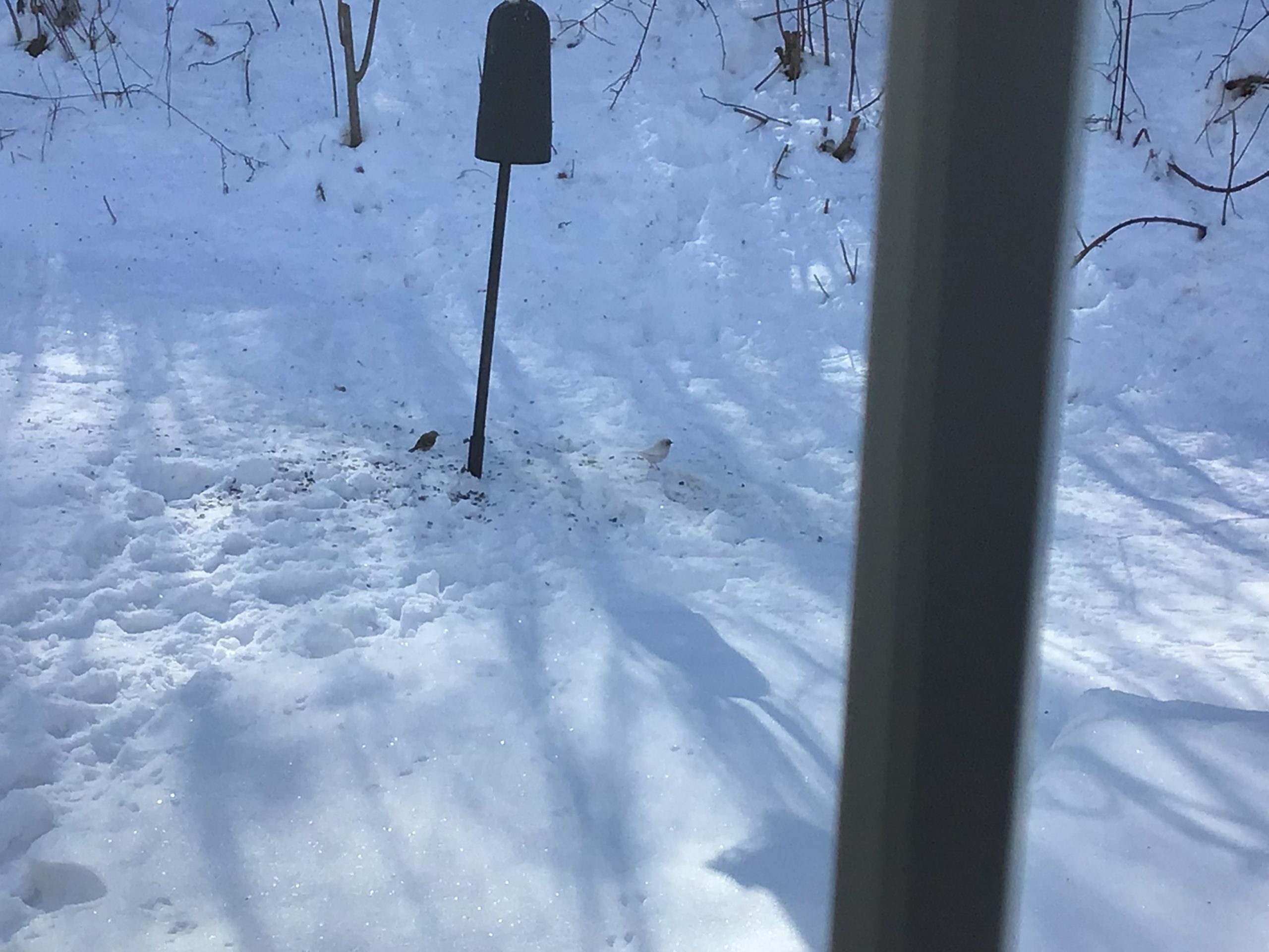 Additional Image 3
