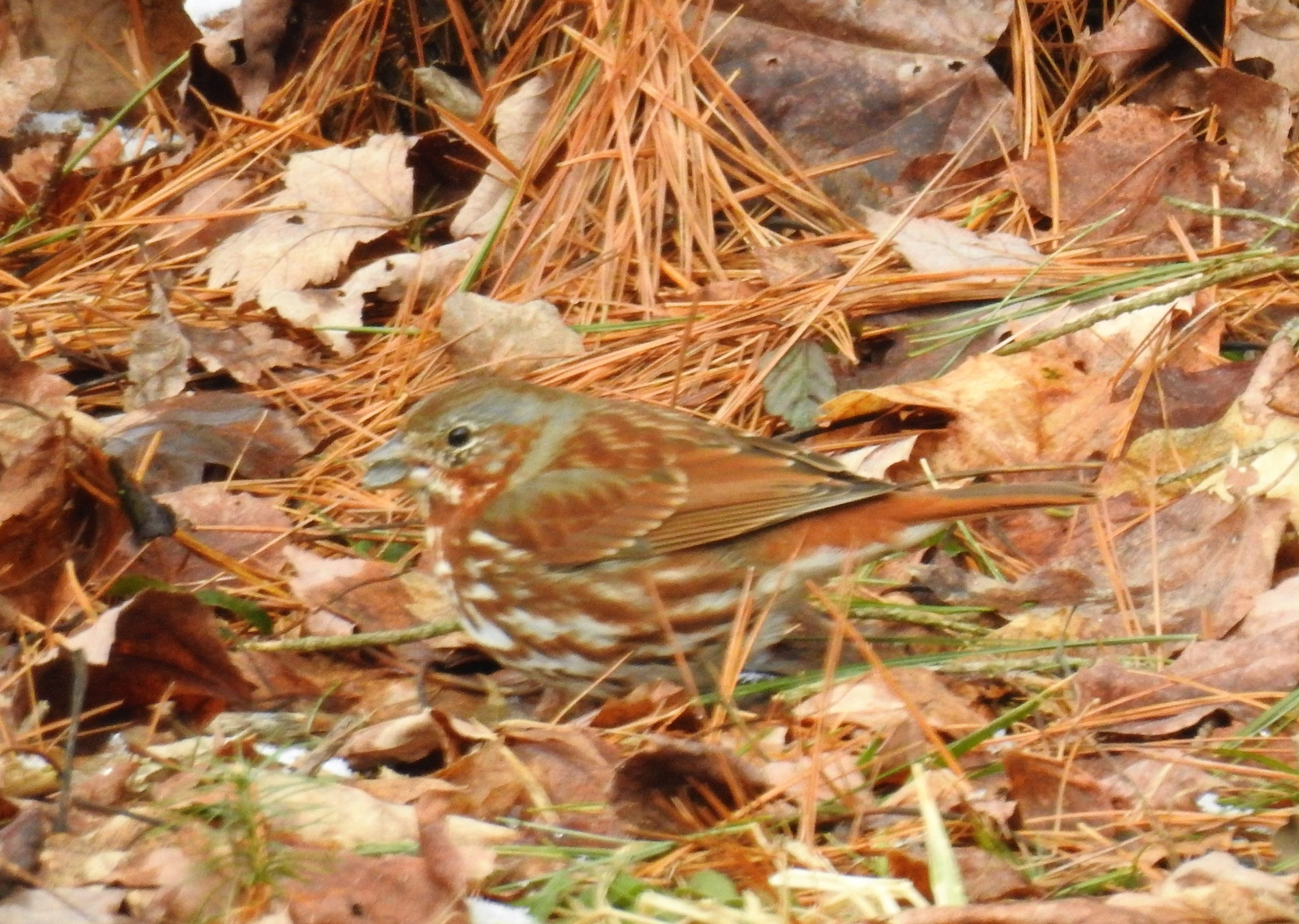 Additional Image 3