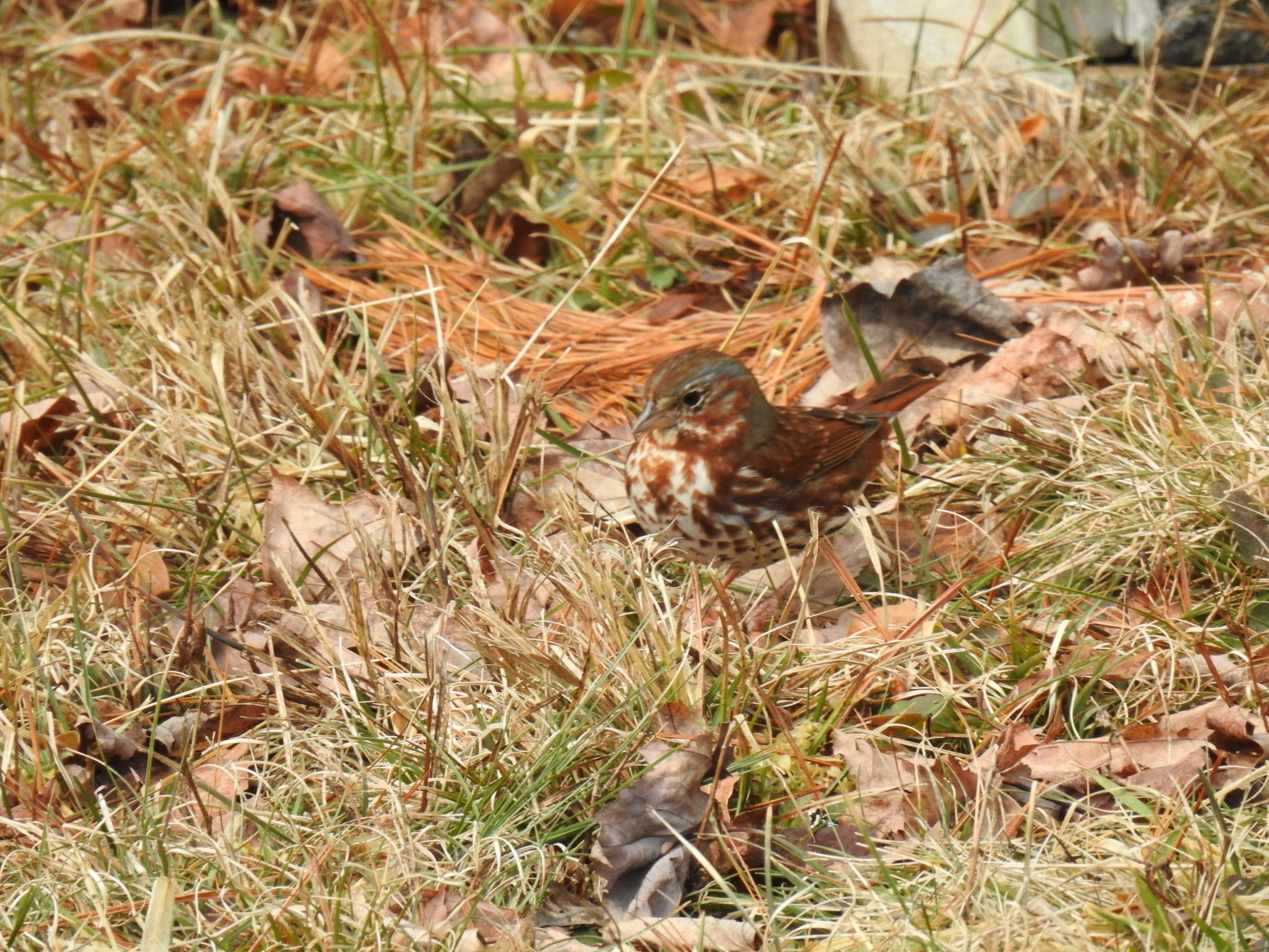 Additional Image 2