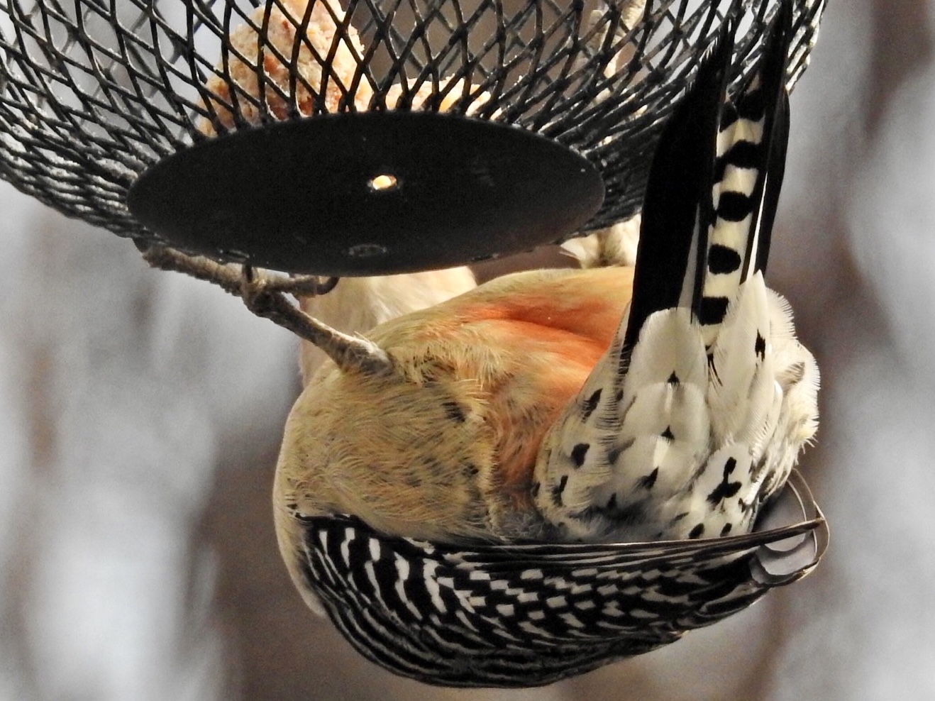 Additional Image 3