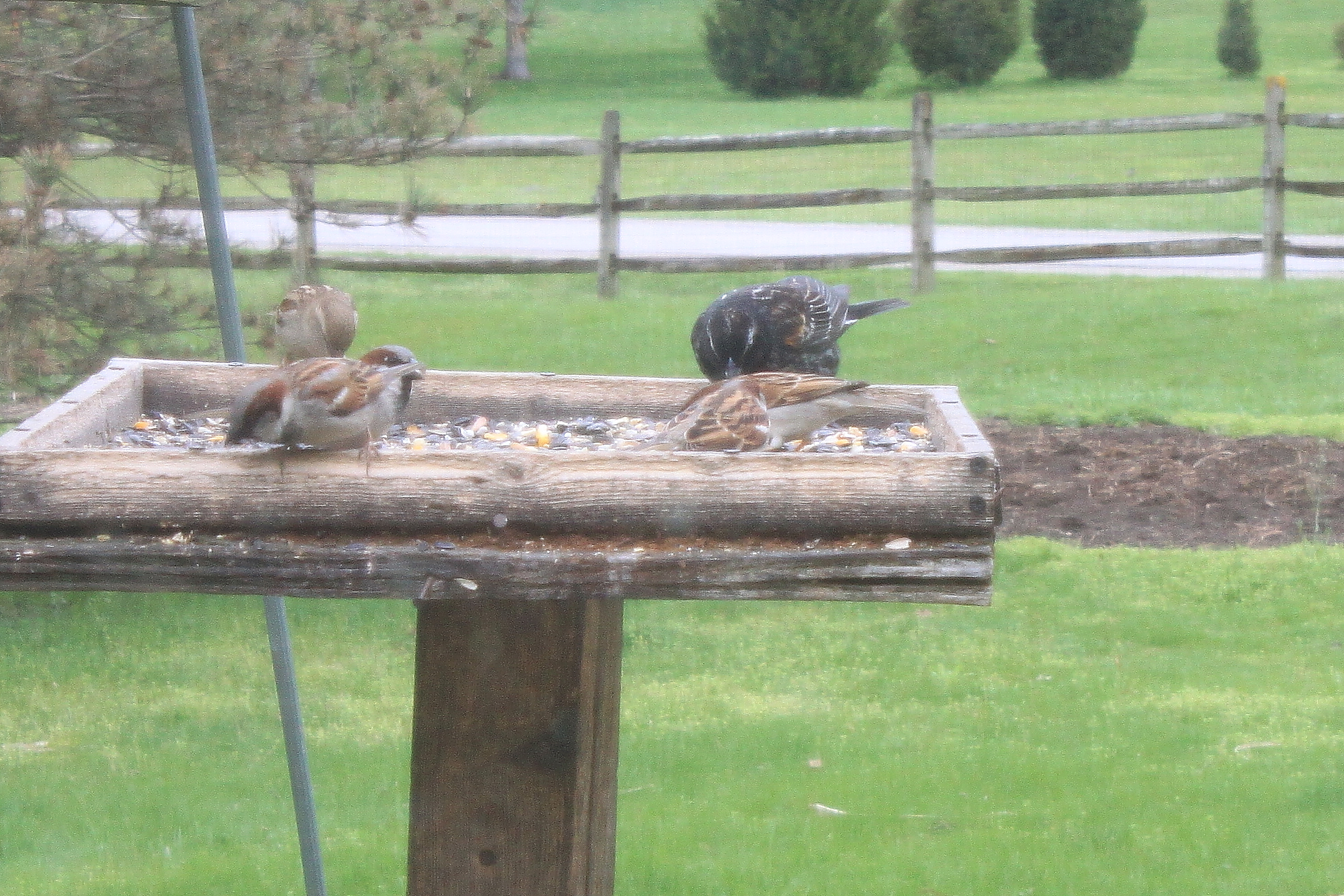Additional Image 2
