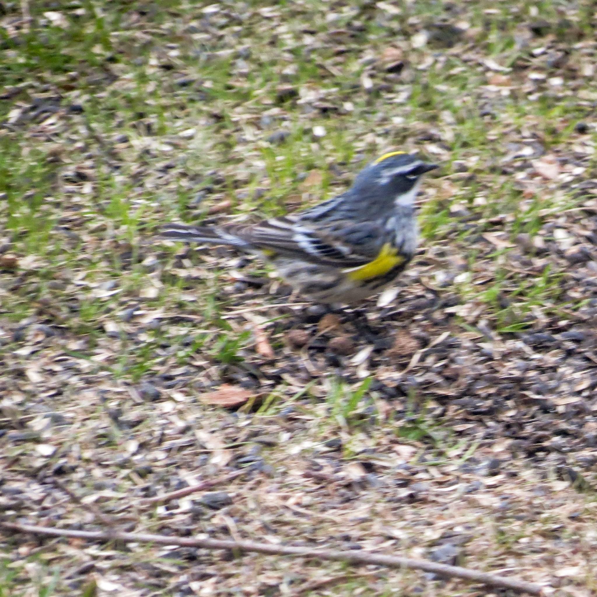 Additional Image 2