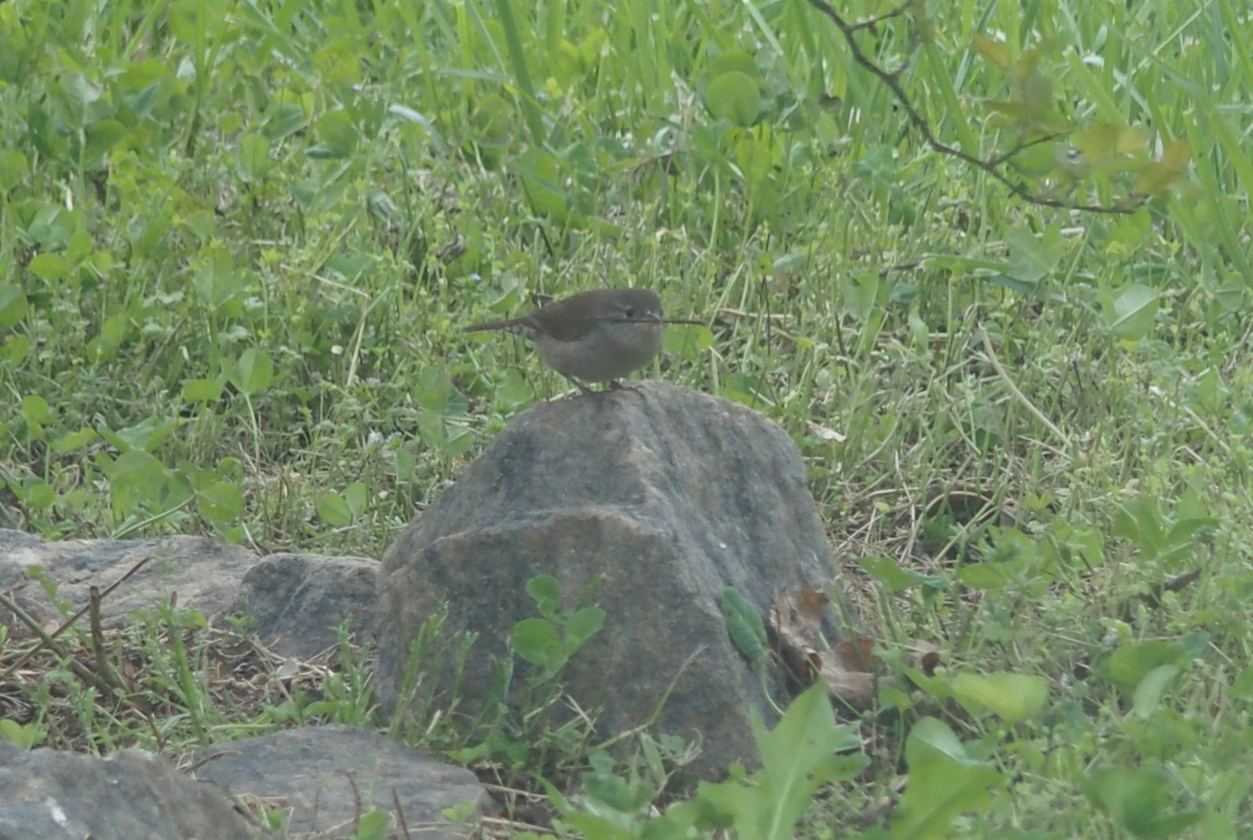 Additional Image 2