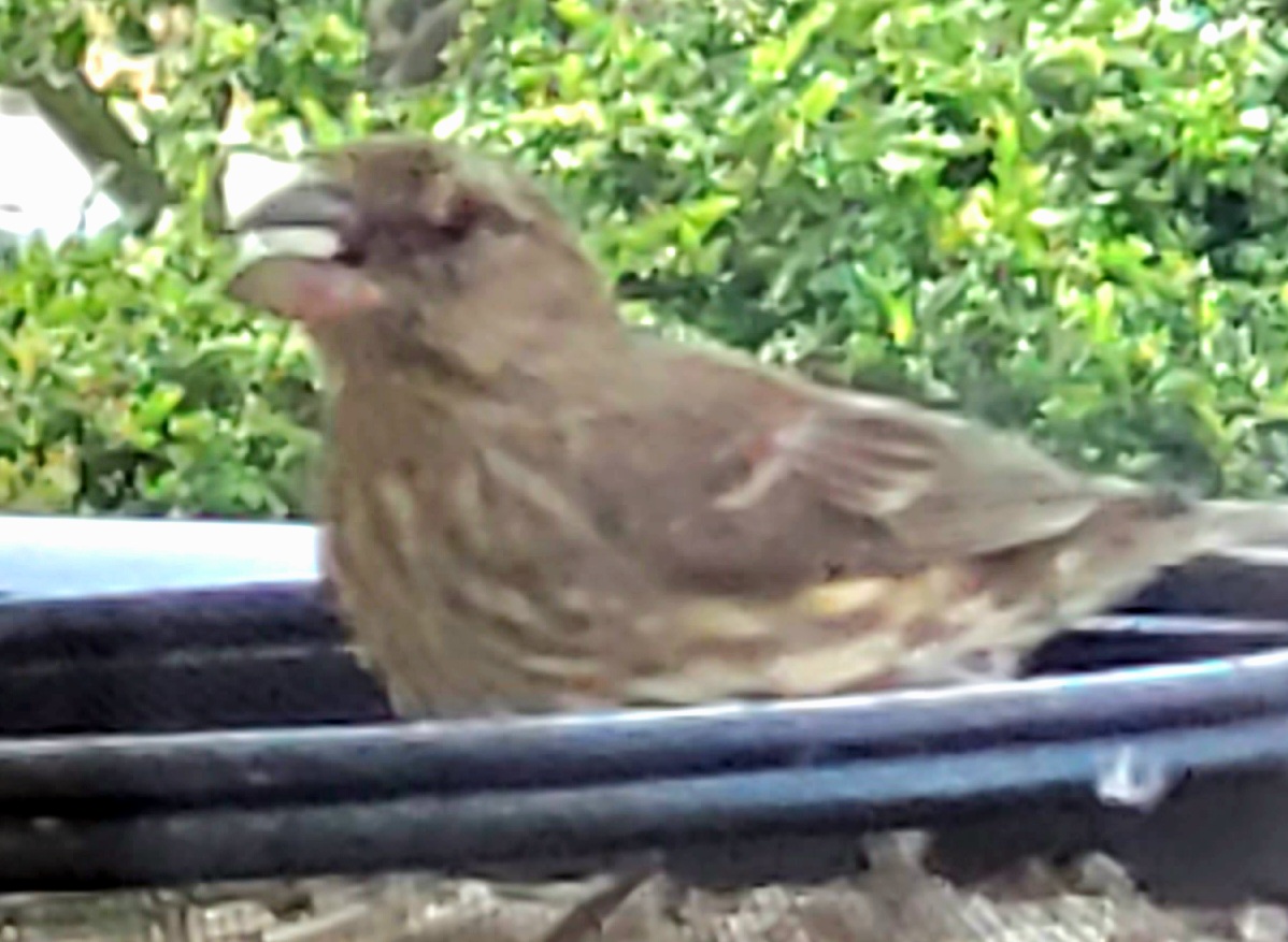 Additional Image 2