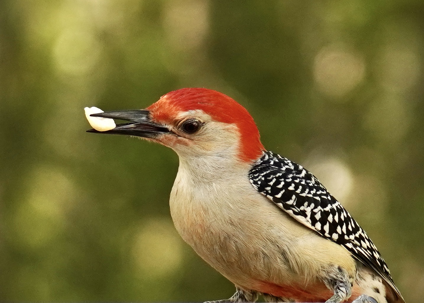Featured Image