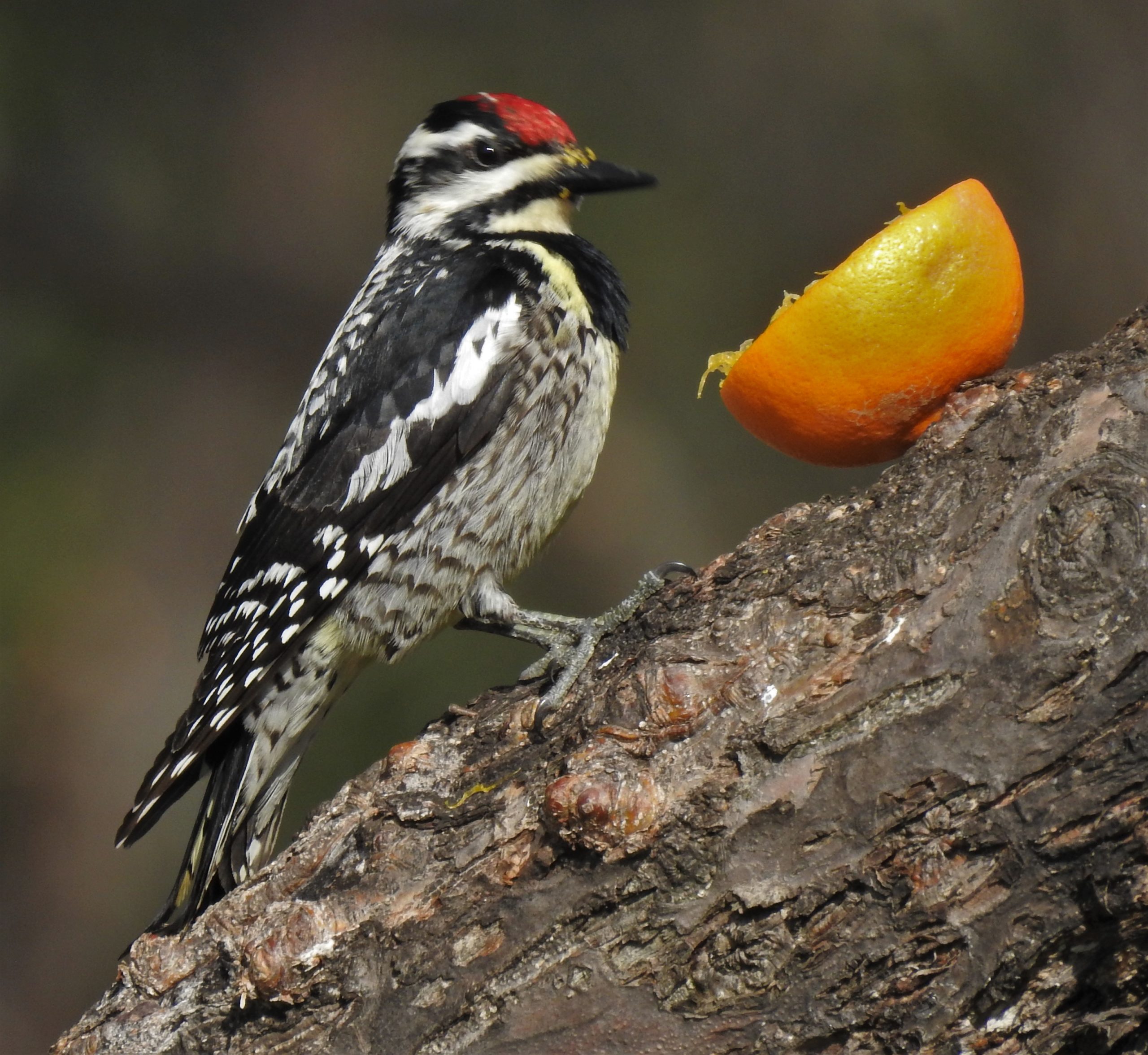 Featured Image