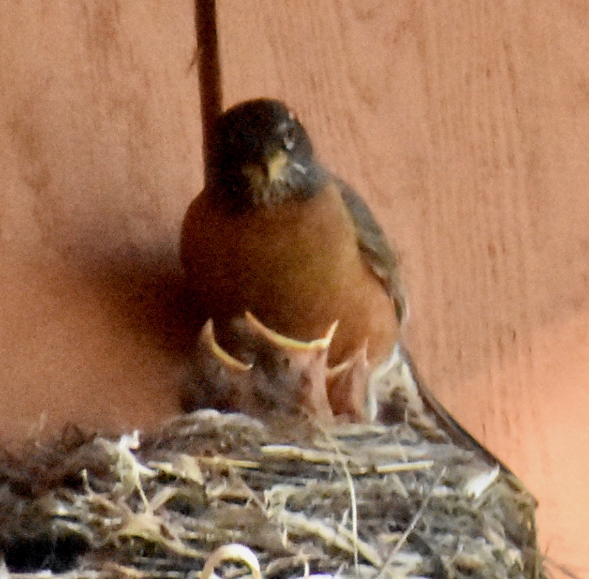 Additional Image 2