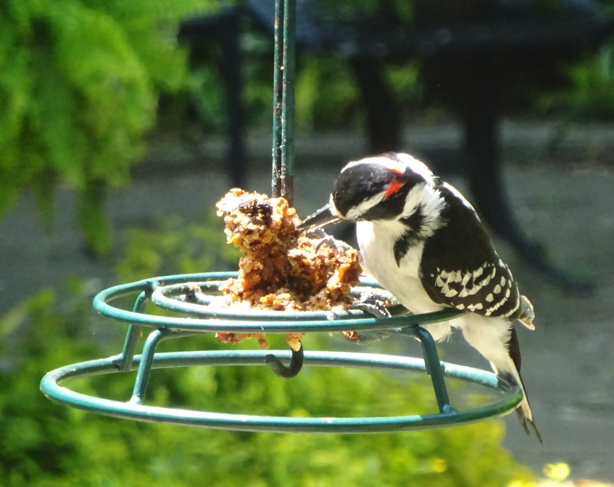 Additional Image 2