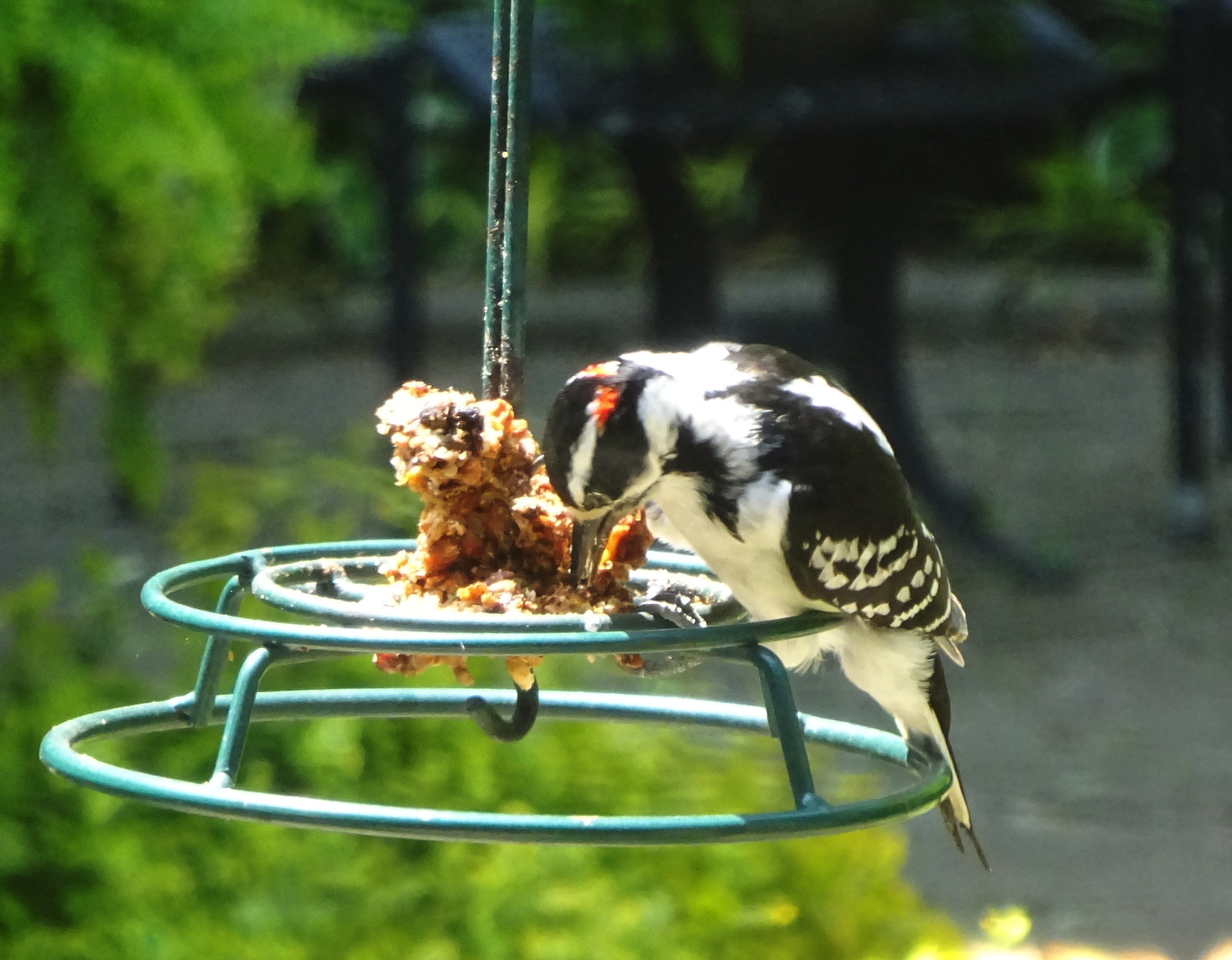 Additional Image 4