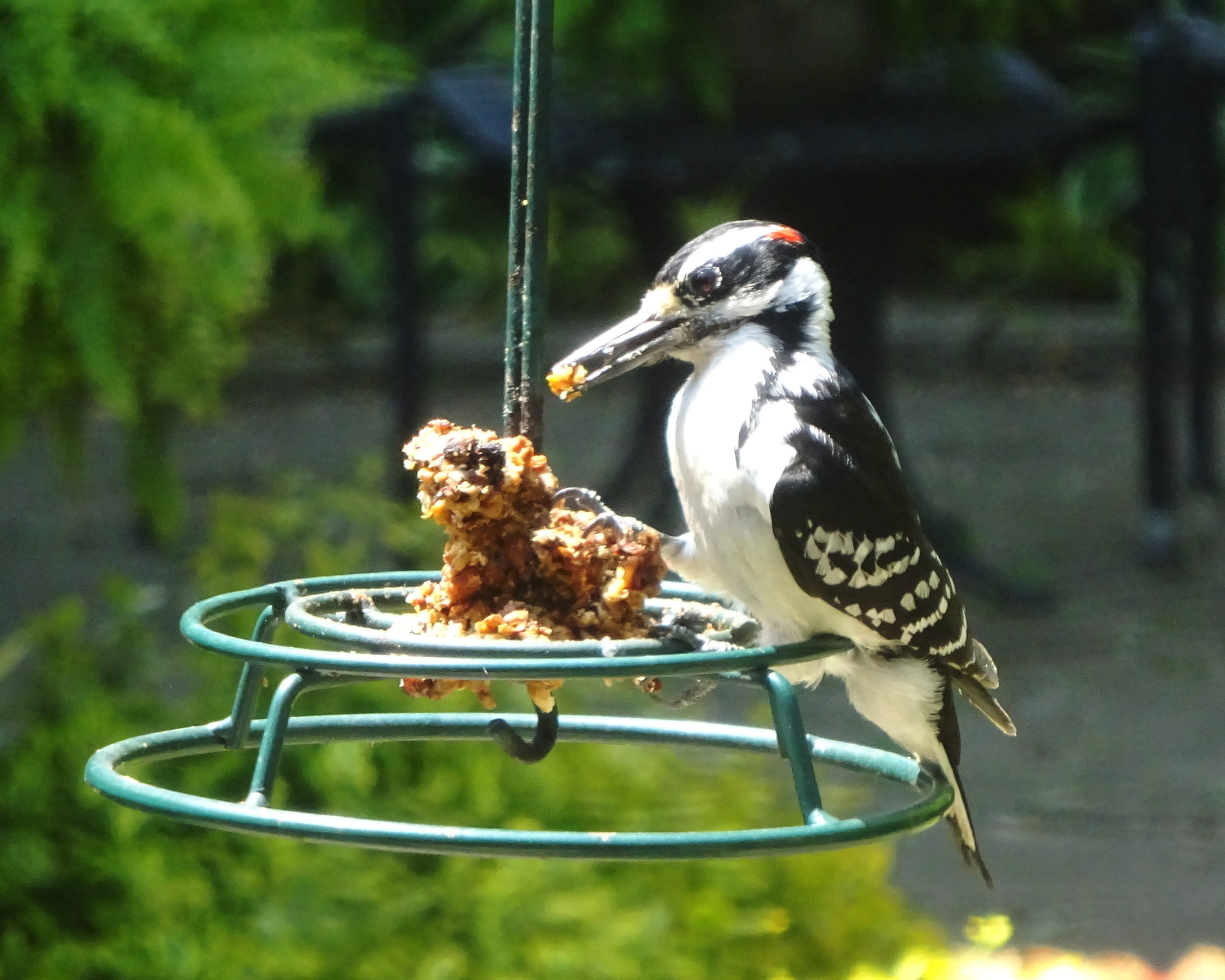 Featured Image